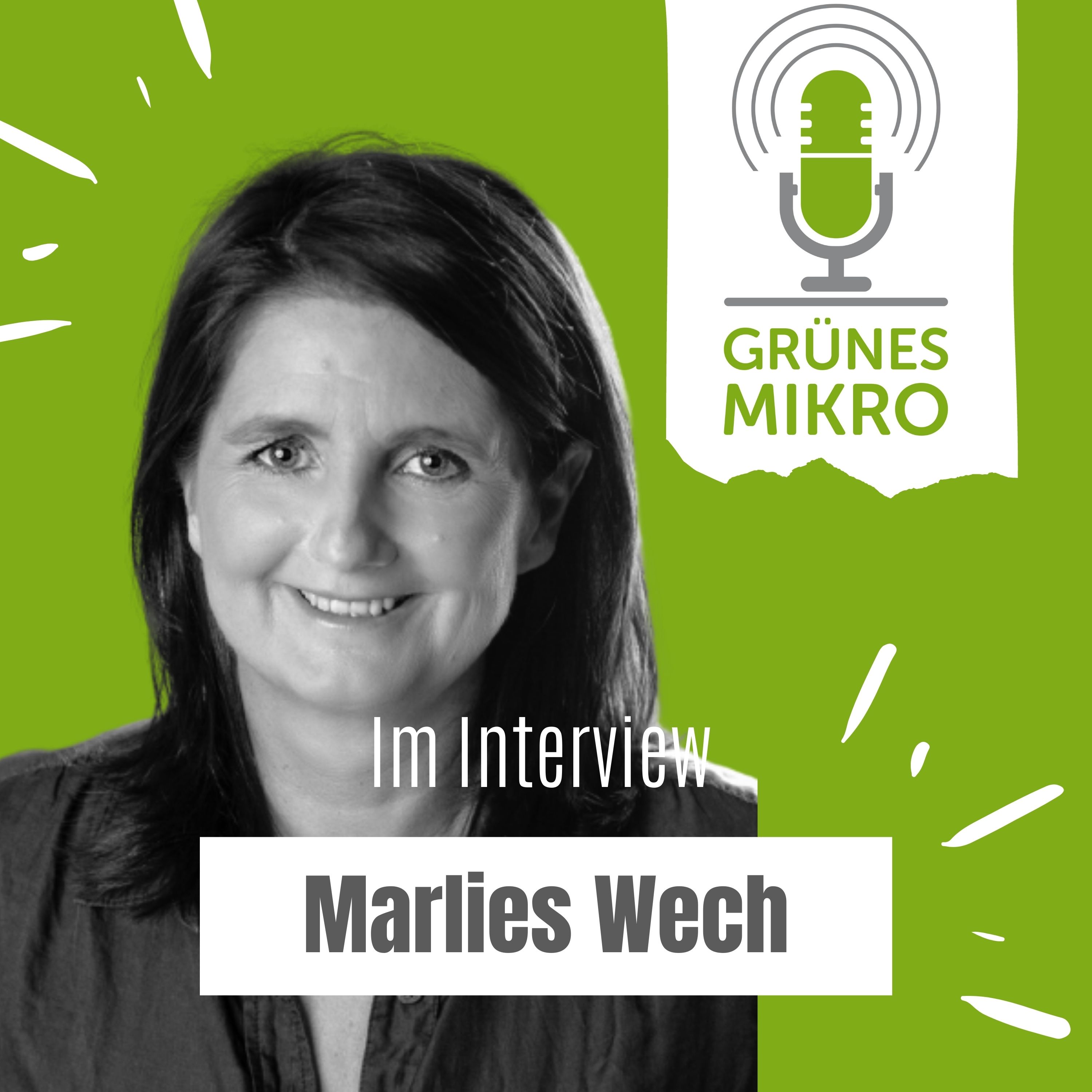 GRÜNES MIKRO