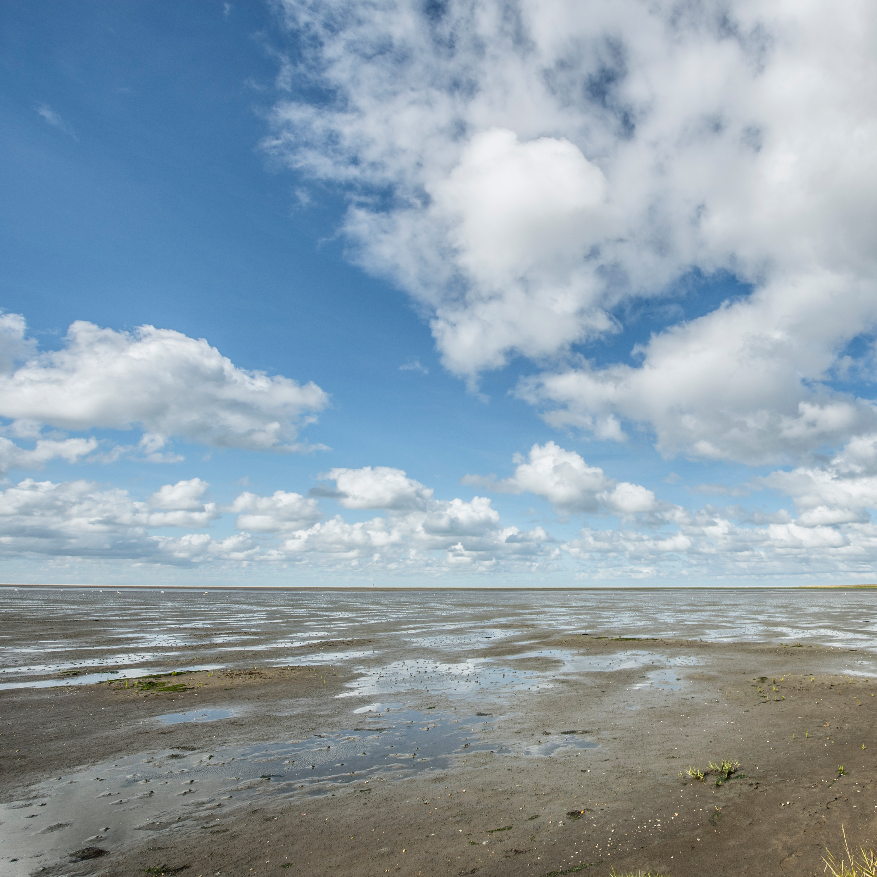Magie des Wattenmeeres – Erlebnisse im Nationalpark