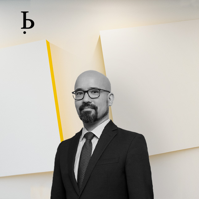 BARDEHLE IP Experts