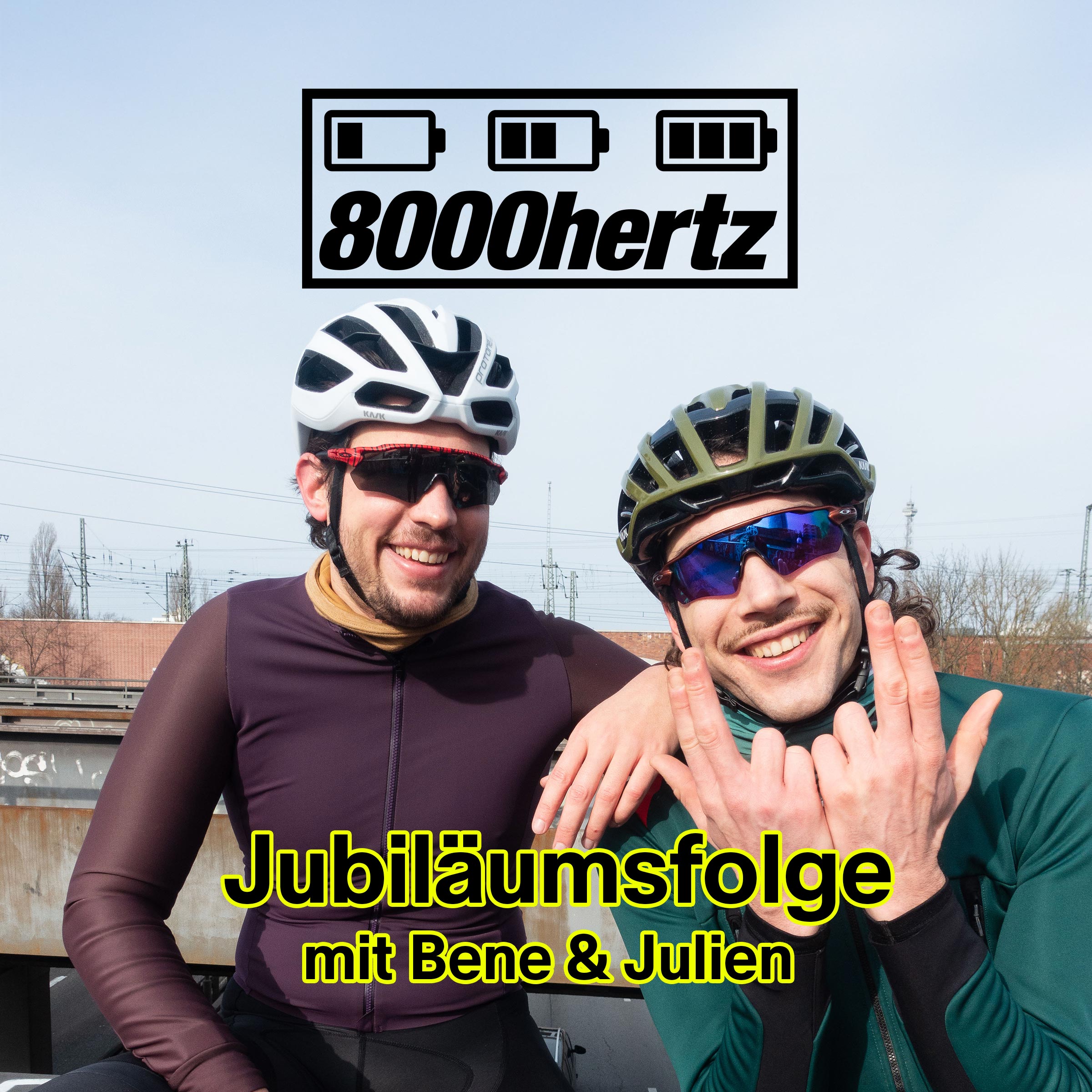 #100 8000hertz Jubiläumsfolge – Highlights, Projekte & Zukunft episode artwork