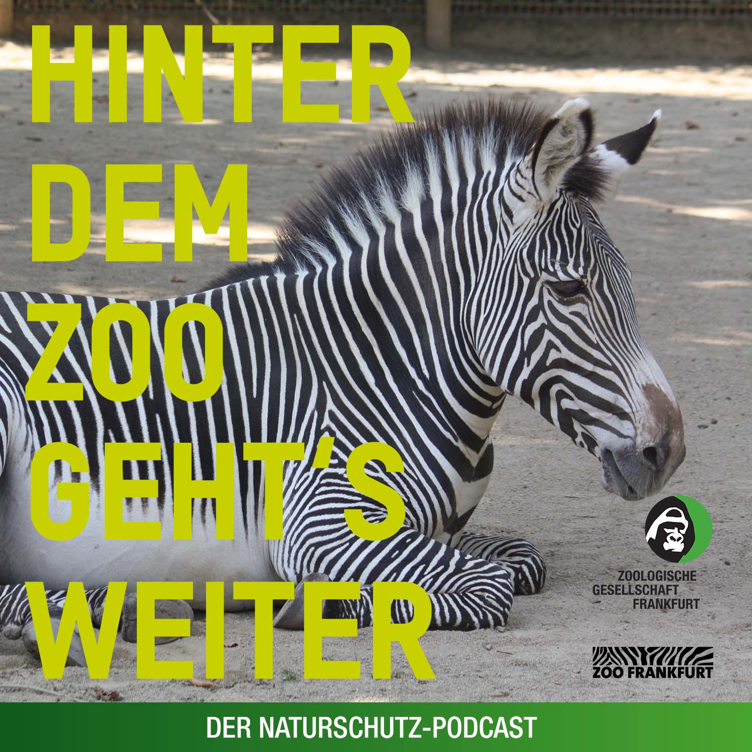 Hinter dem Zoo geht\'s weiter - Der Naturschutzpodcast aus Frankfurt