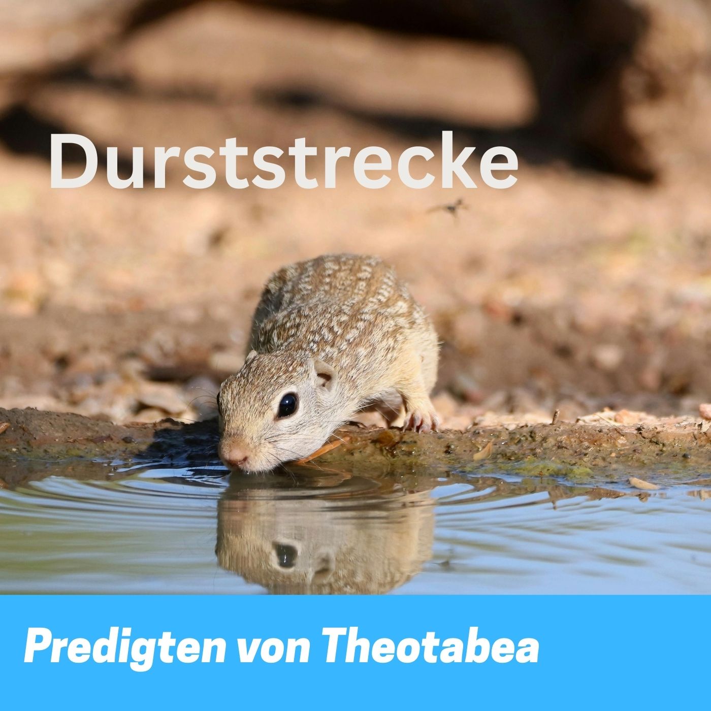 Predigten von Theotabea