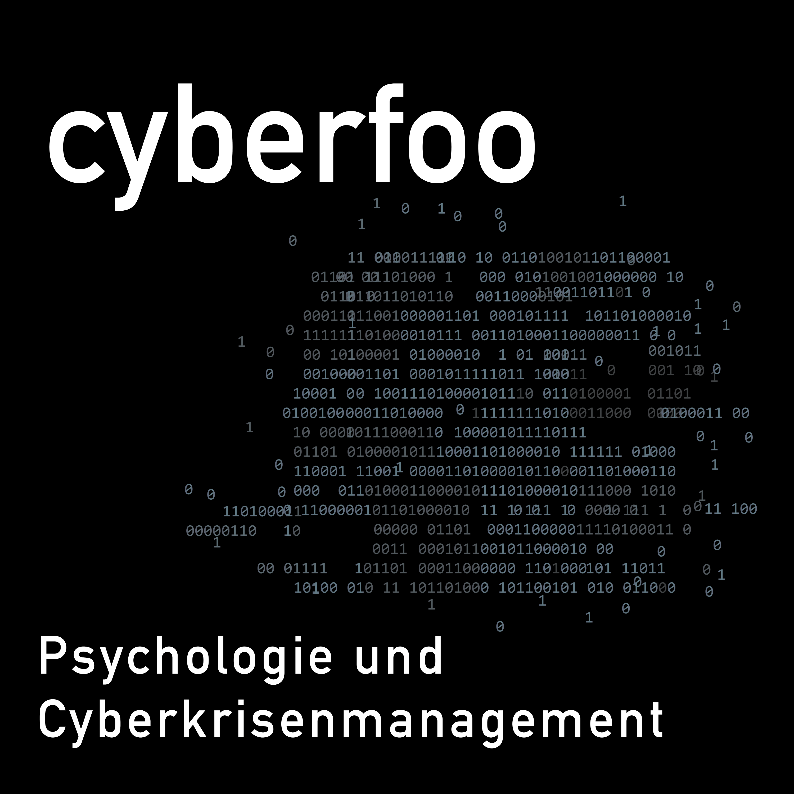 cyberfoo