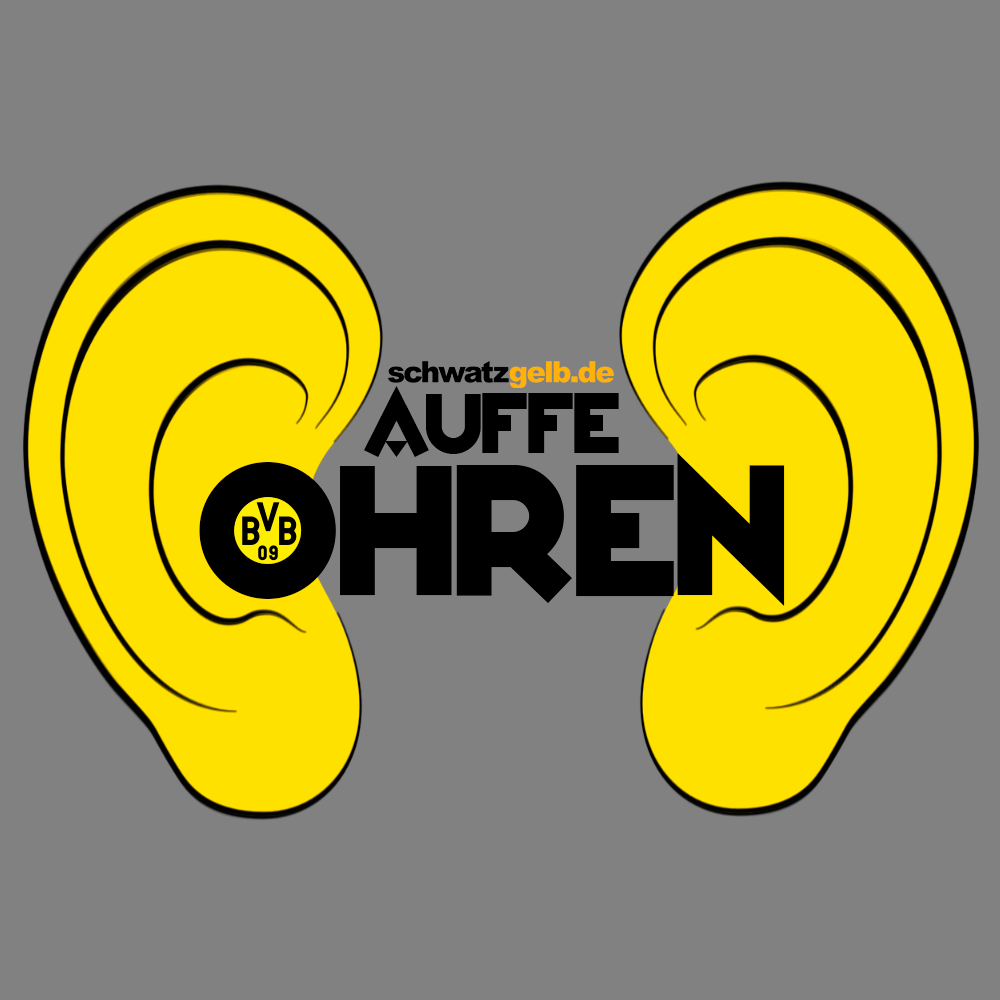 Auffe Ohren #21: Ich wähle dich! Und dich! Und dich! Und dich!