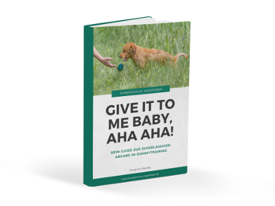 Dummy & Co - der Hundepodcast für artgerechte Beschäftigung