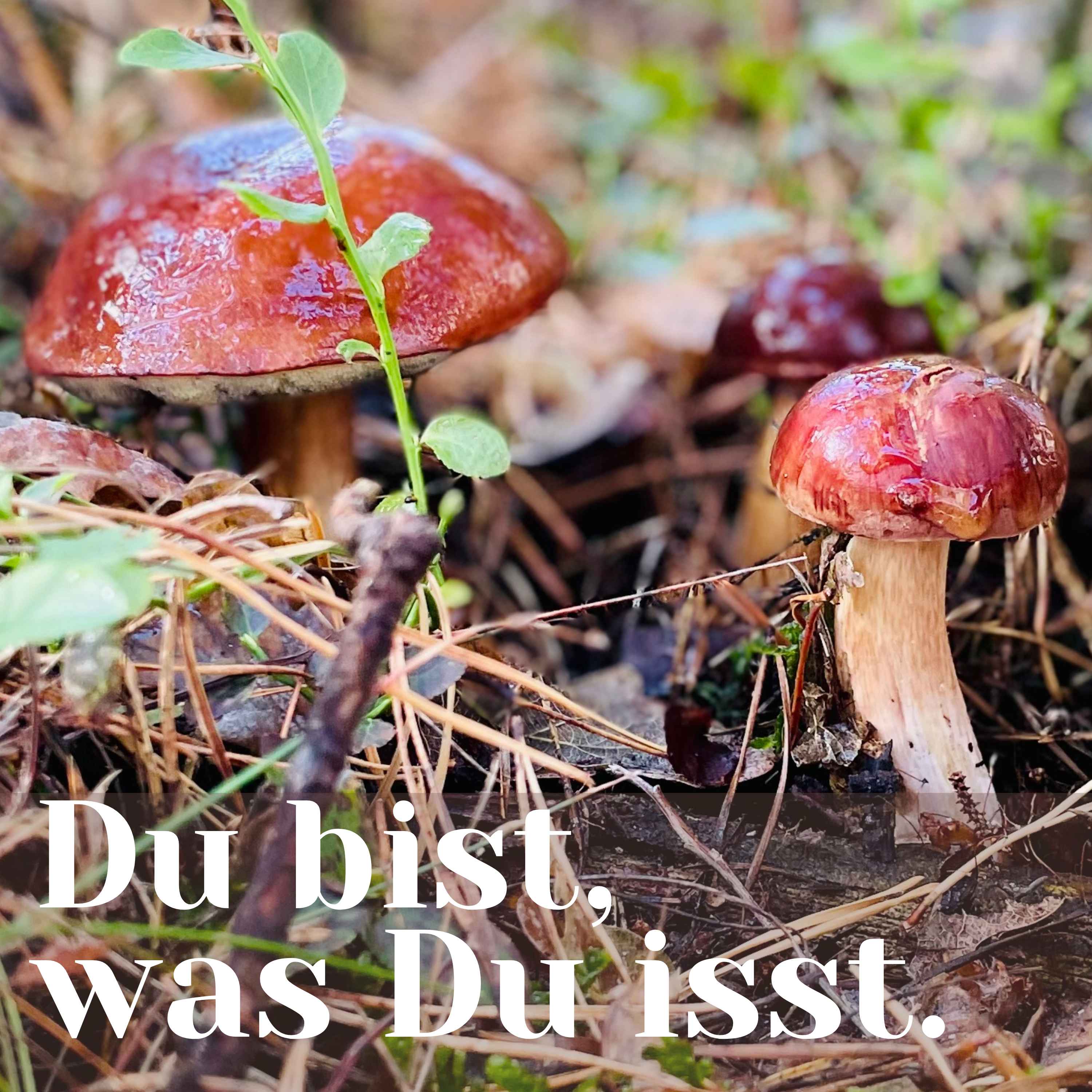 Du bist, was Du isst - Der Ernährungs-Podcast