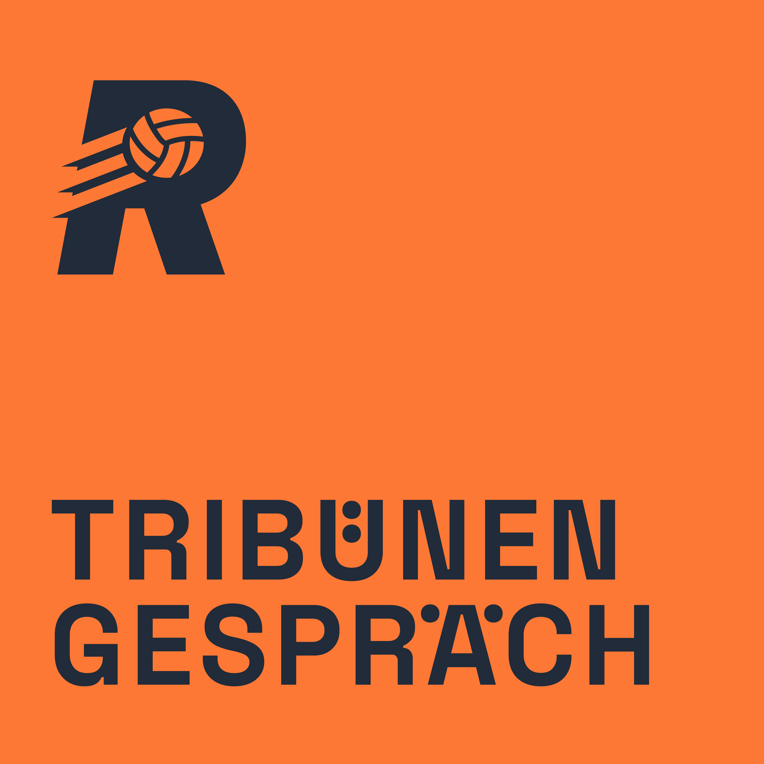Rasenfunk – Tribünengespräch