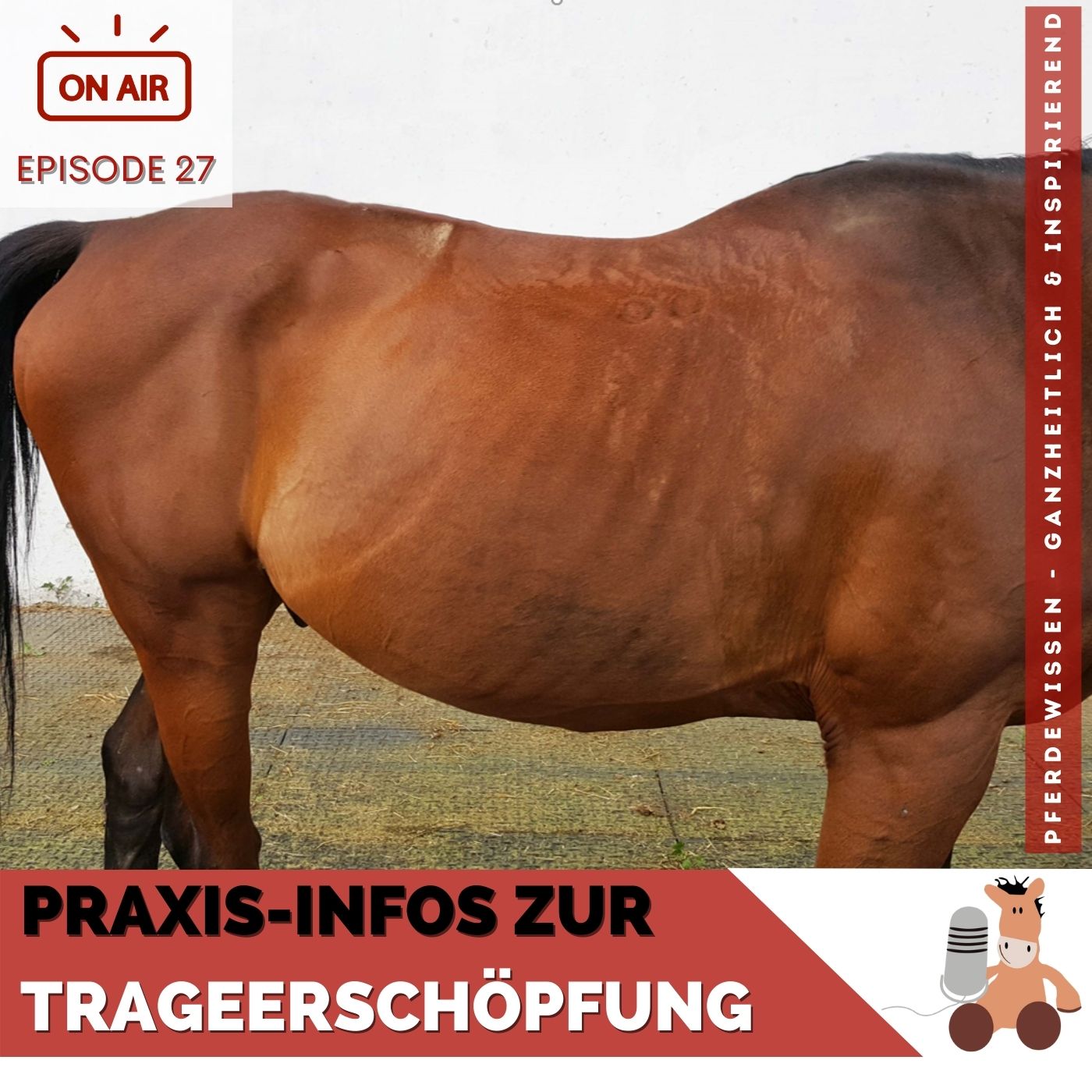 Pferdewissen - ganzheitlich & inspirierend mit Sandra Fencl
