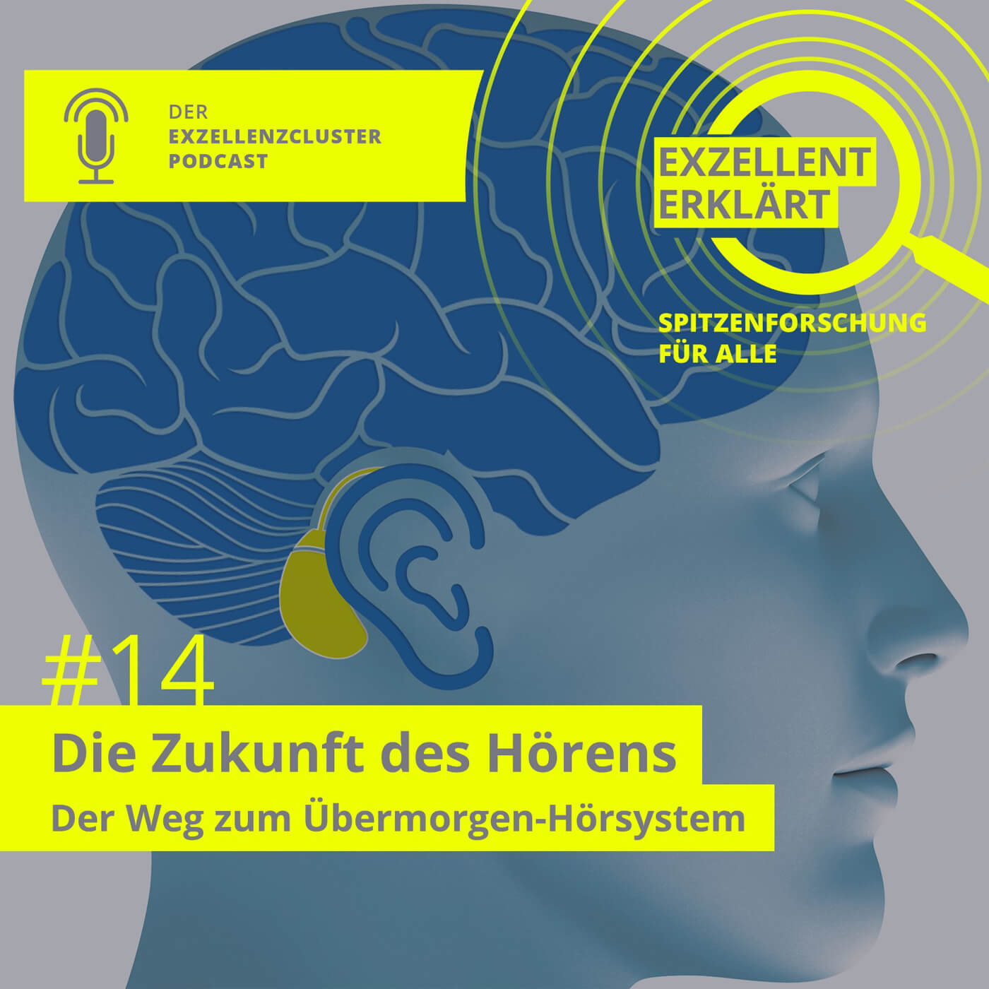 Exzellent erklärt - Spitzenforschung für alle