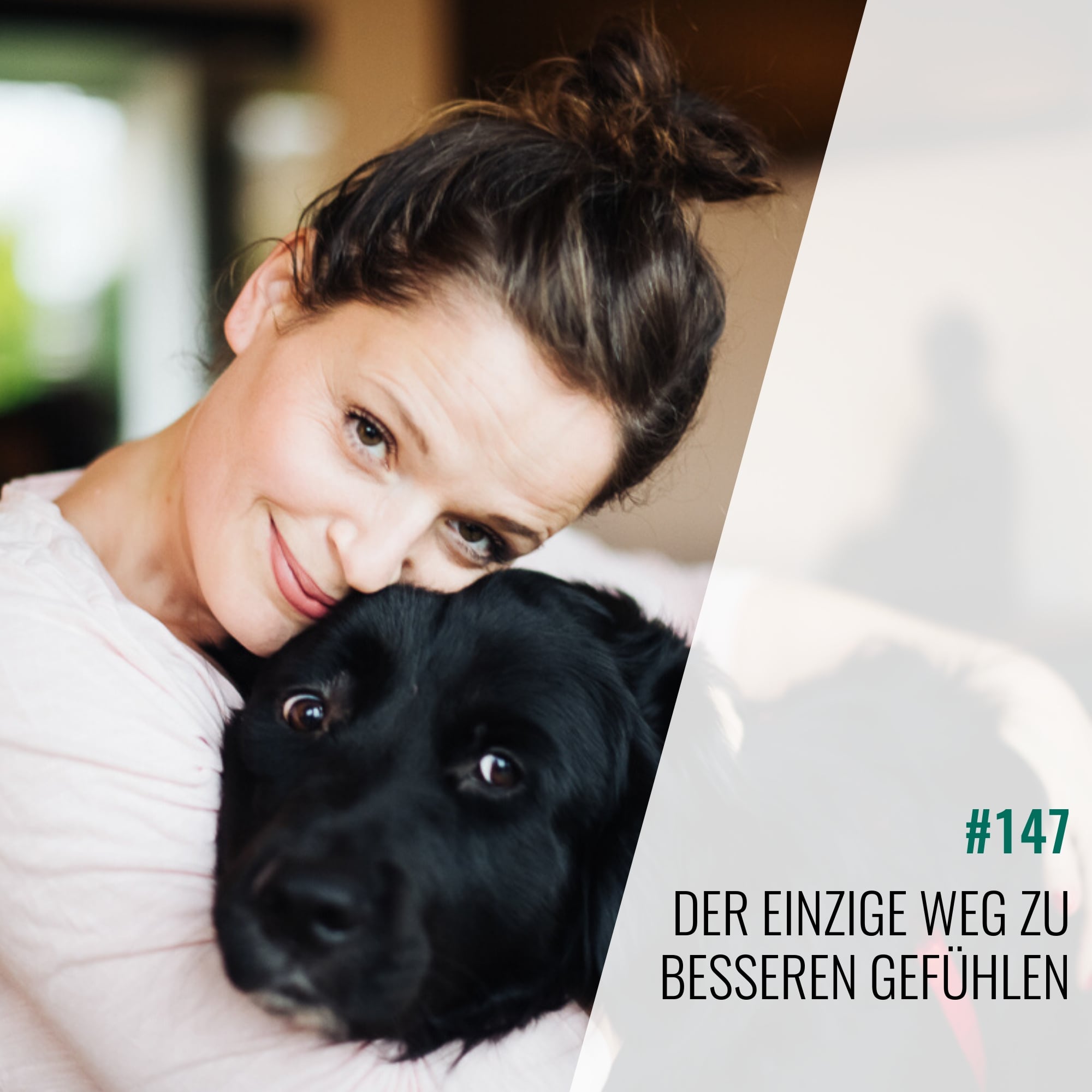 #147 Der einzige Weg zu besseren Gefühlen episode artwork