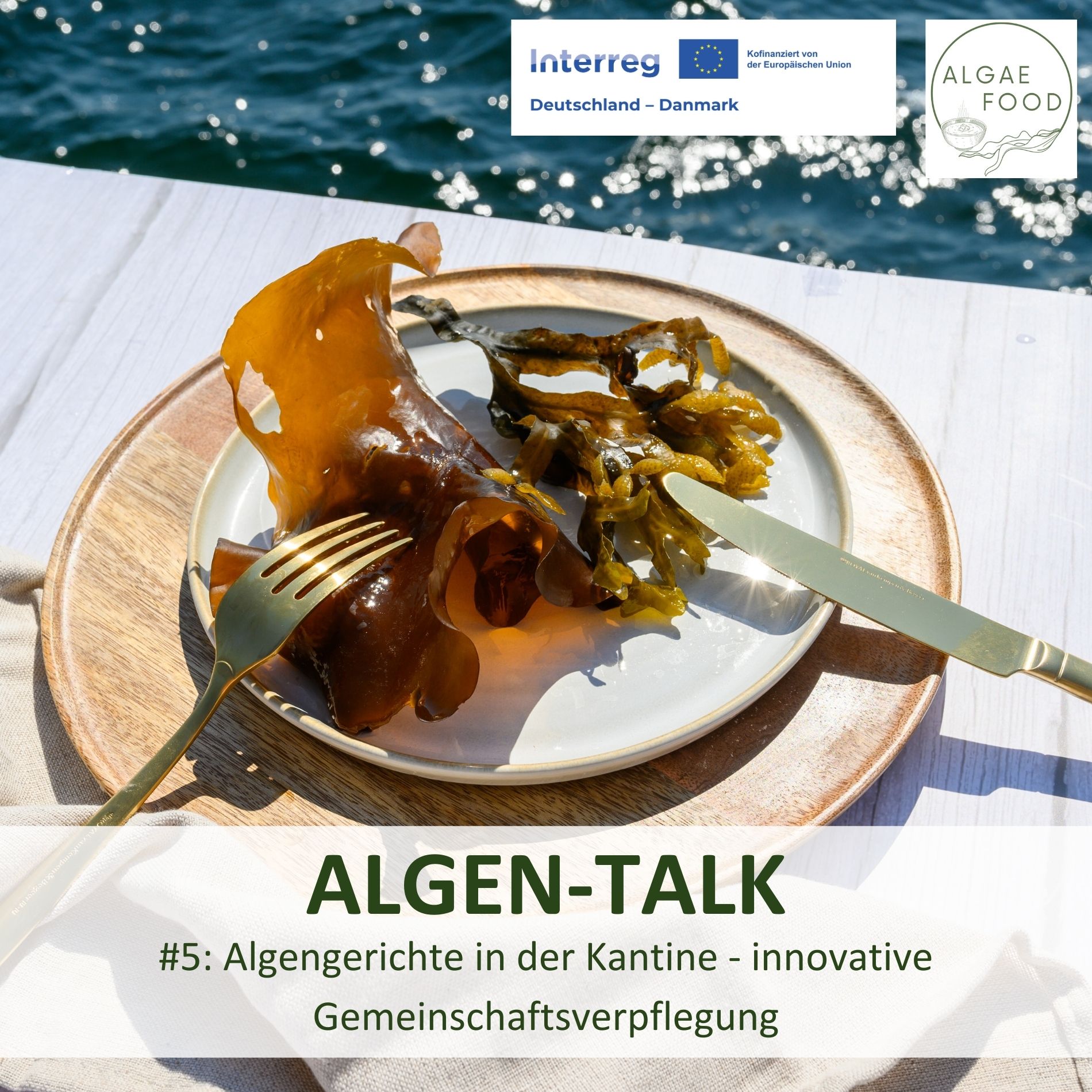 ALGEN-TALK - Das Superfood aus dem Meer