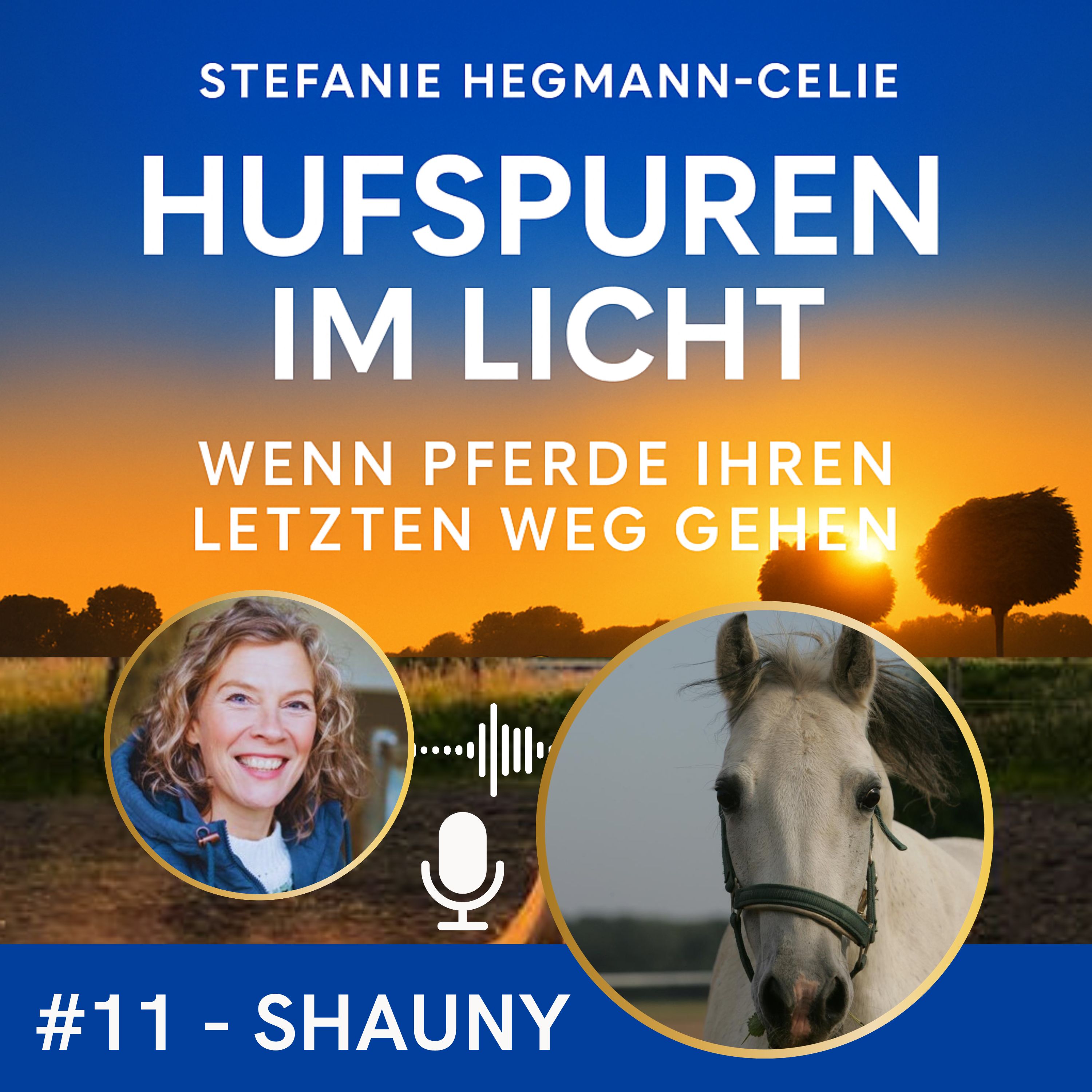 #11 - Shauny: ein Weihnachtswunder  I  Wie eine Fohlenrettung zwei Leben veränderte  I  Kolik episode artwork