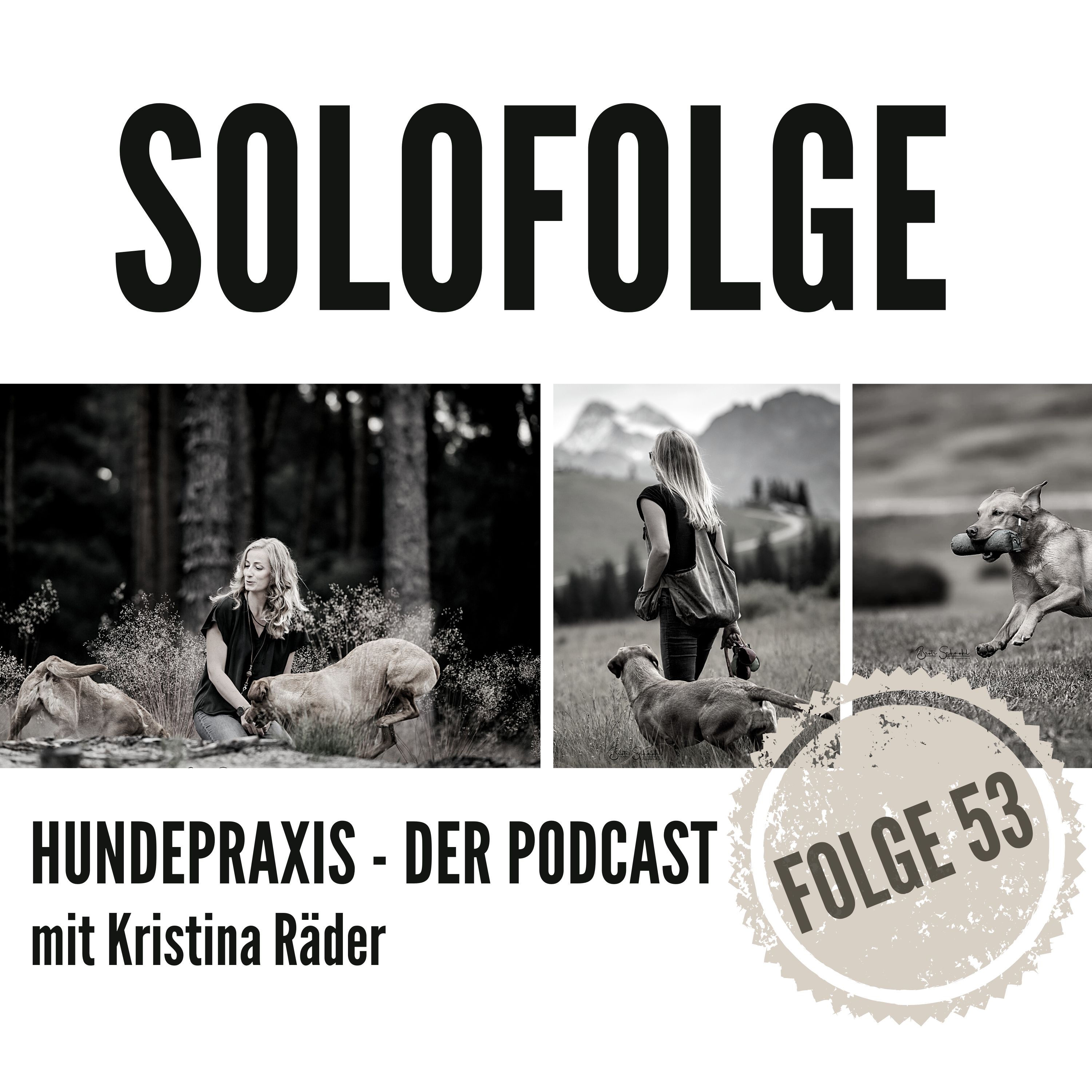 Hundepraxis - der Podcast