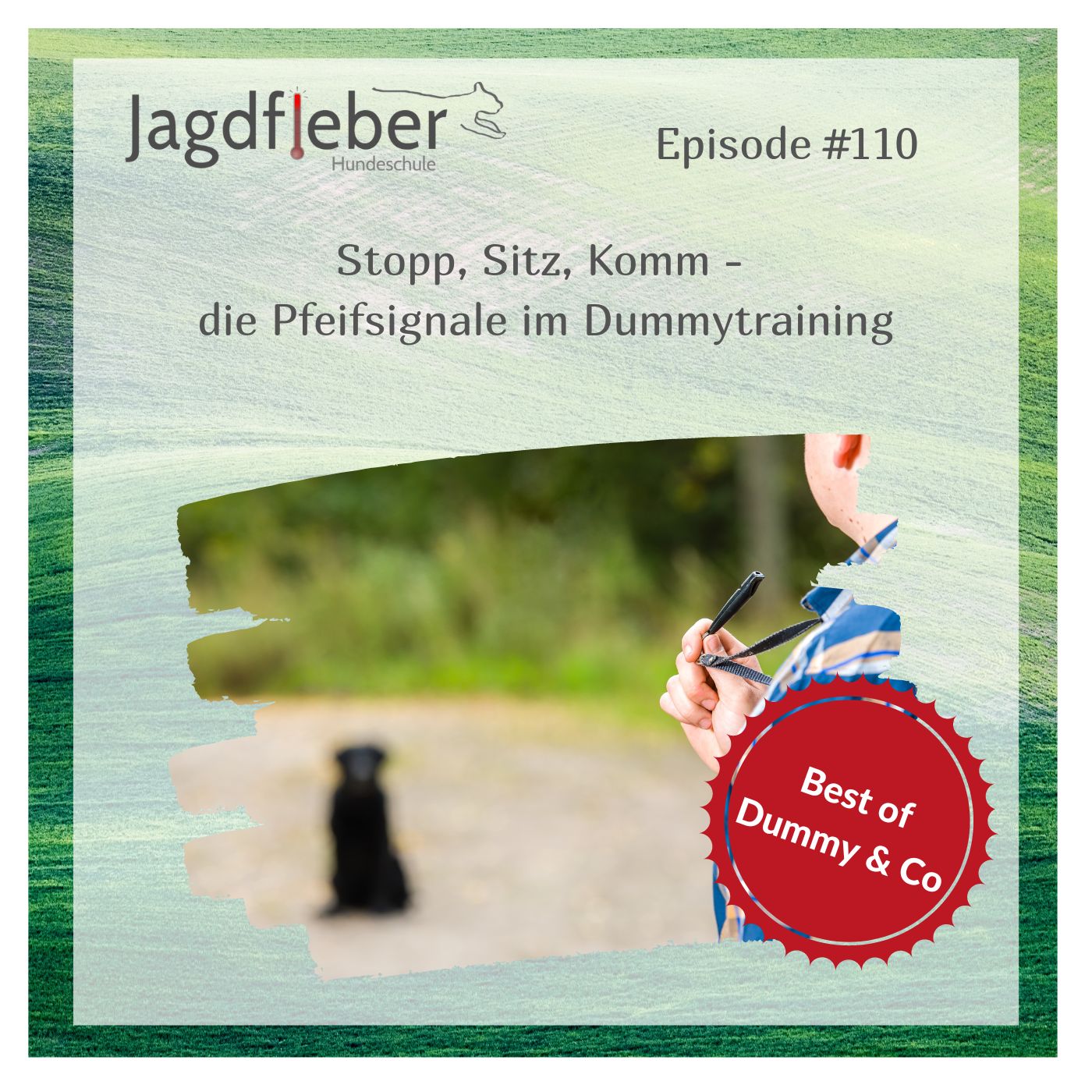 P110: Best of Dummy & Co - Stopp, Sitz, Komm - die Pfeifsignale im Dummytraining episode artwork