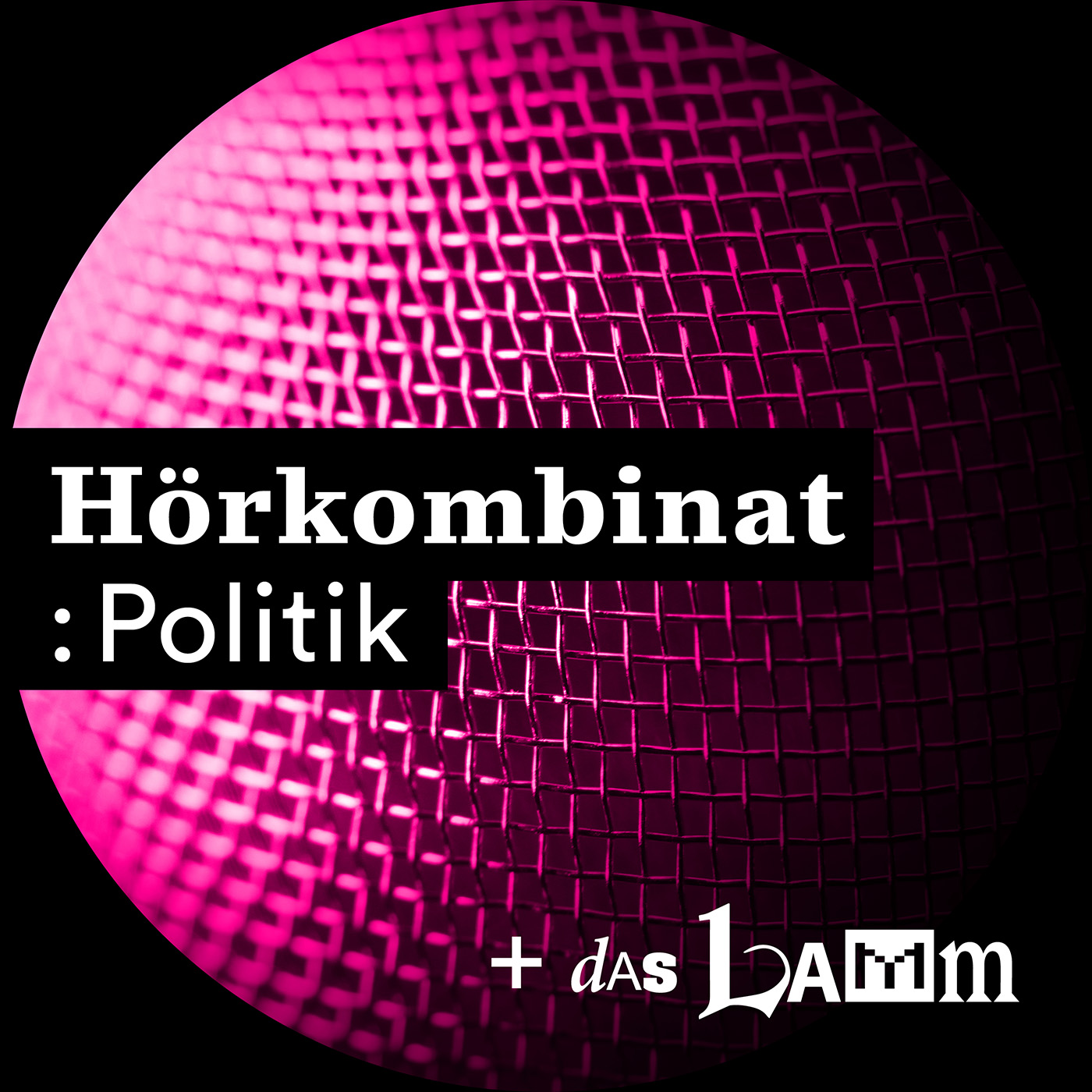 Hörkombinat :Politik