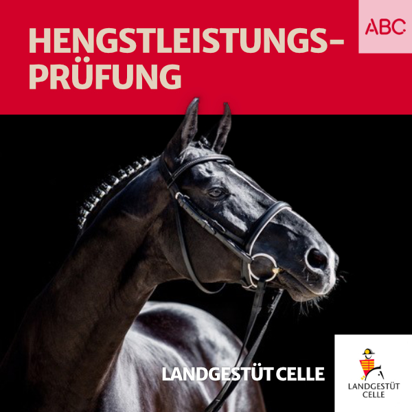 Landgestüt Celle - Der Podcast