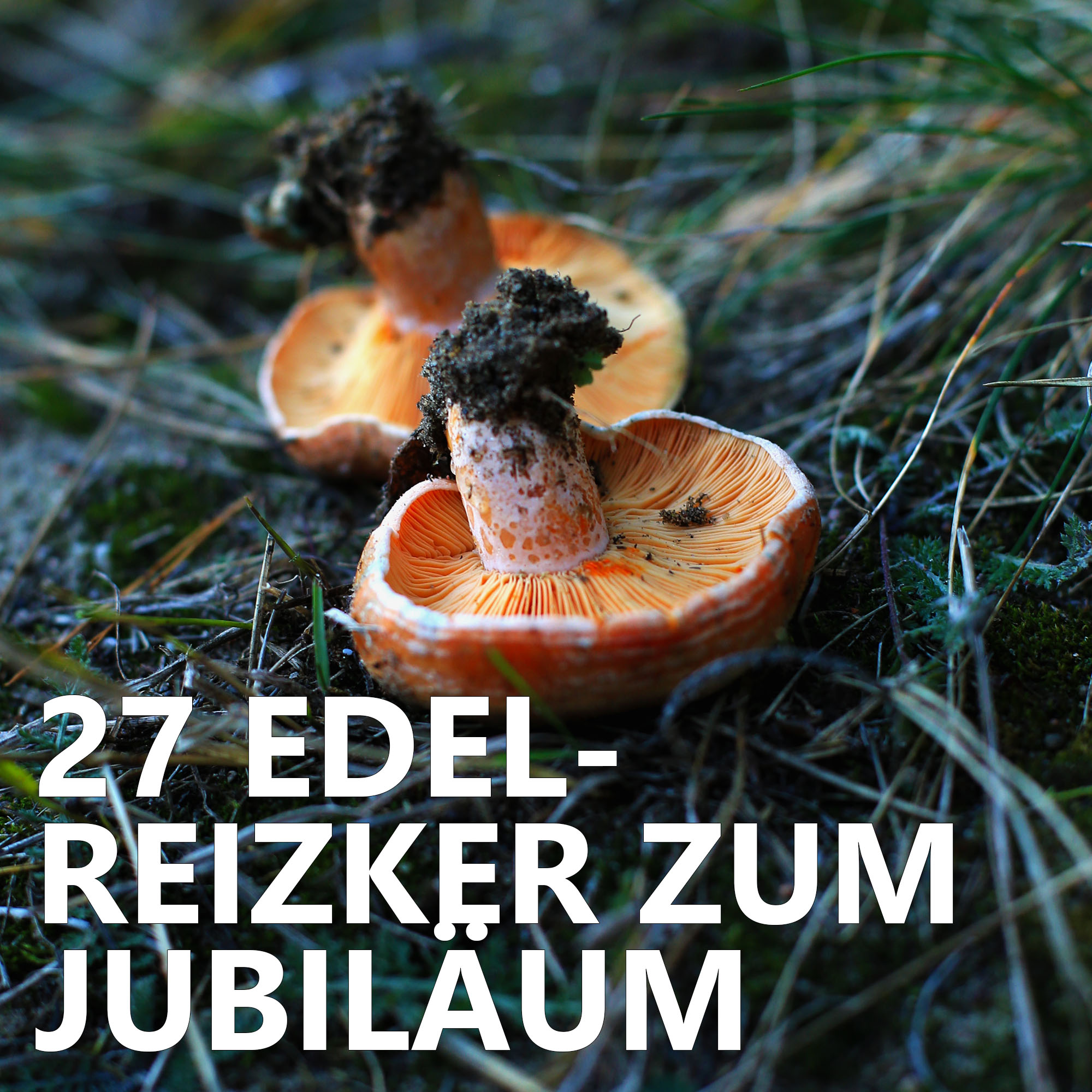 Der Pilzpodcast