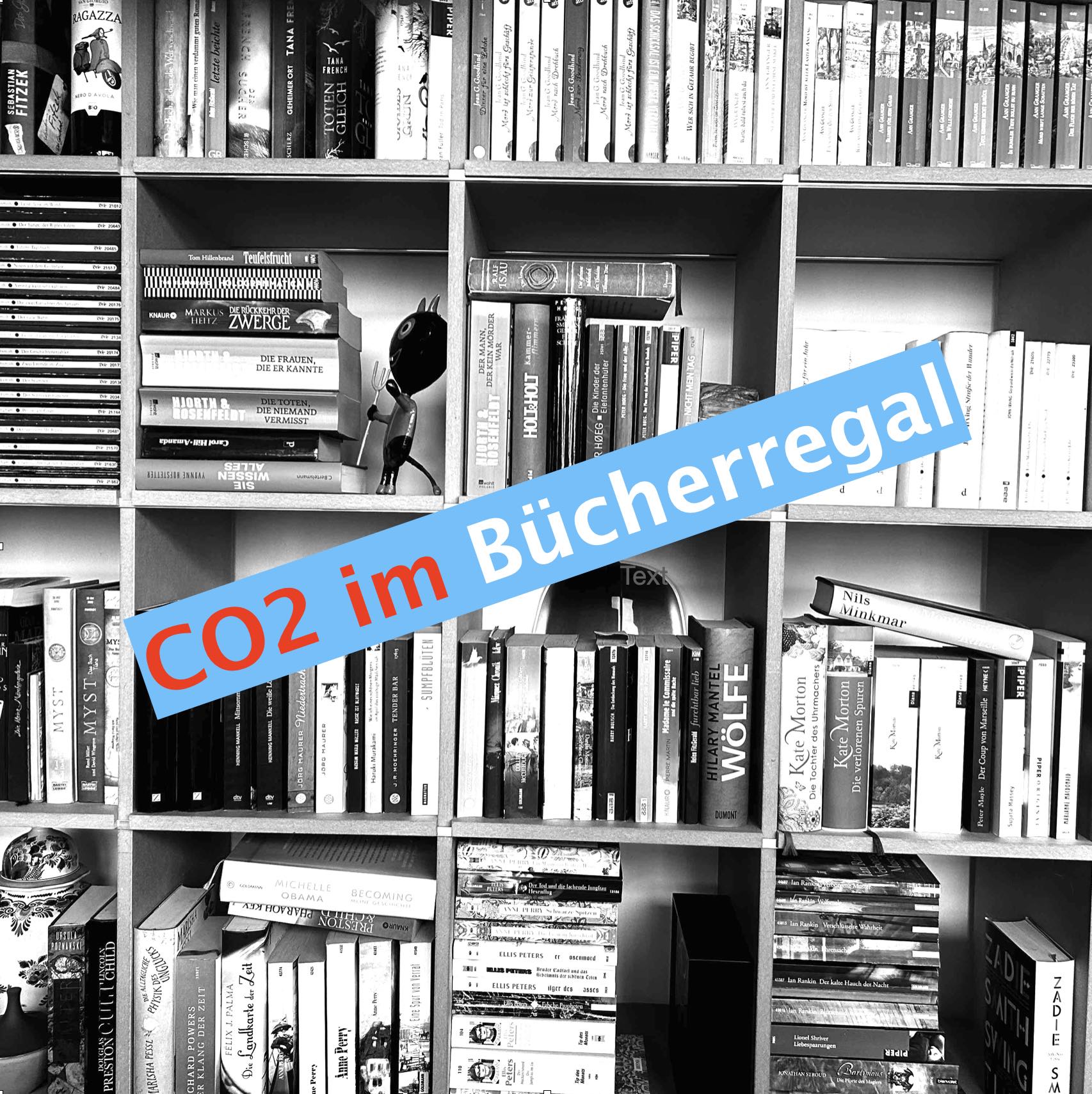 Katjas und Inas Buchgestöber