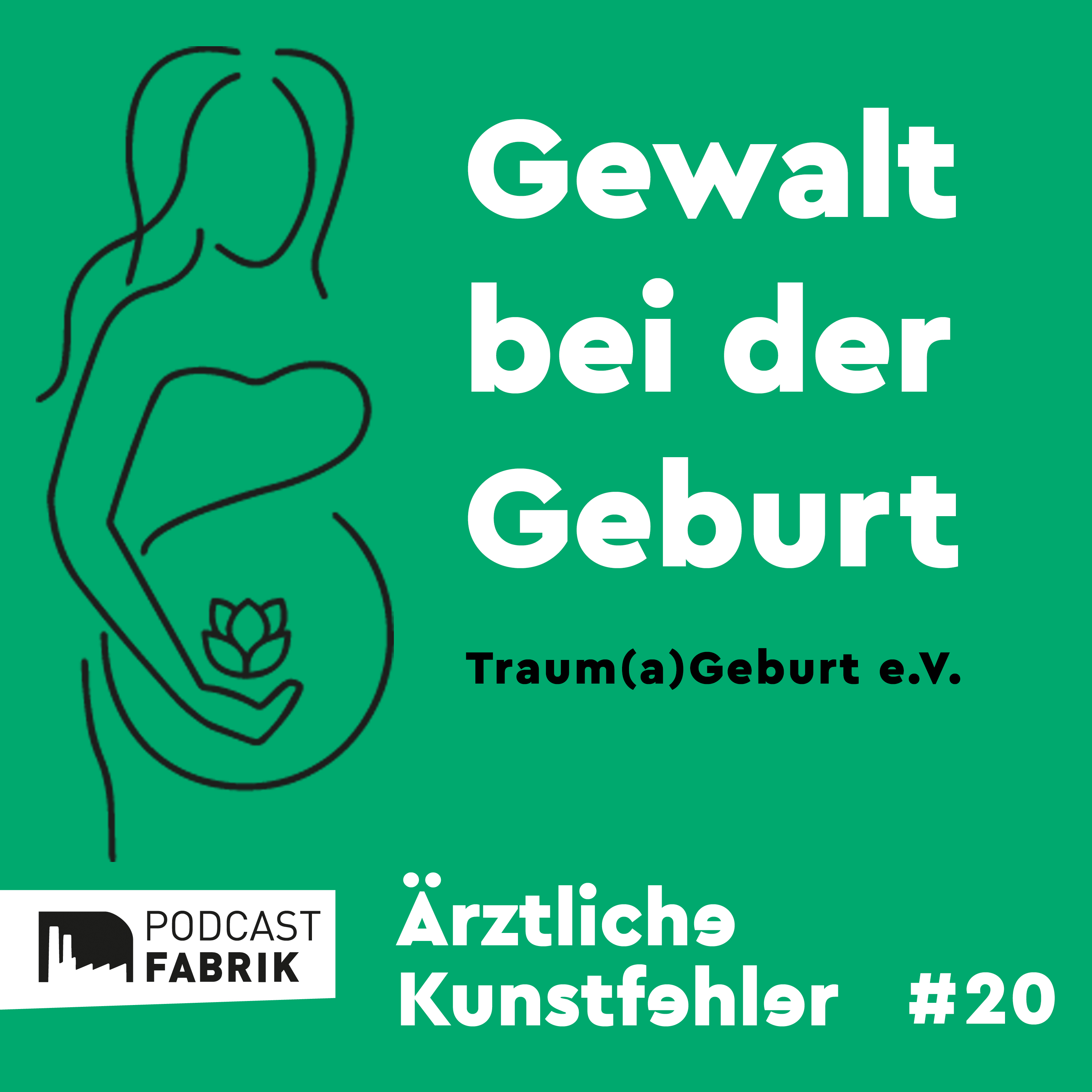 Ärztliche Kunstfehler und andere Medizingeschichten