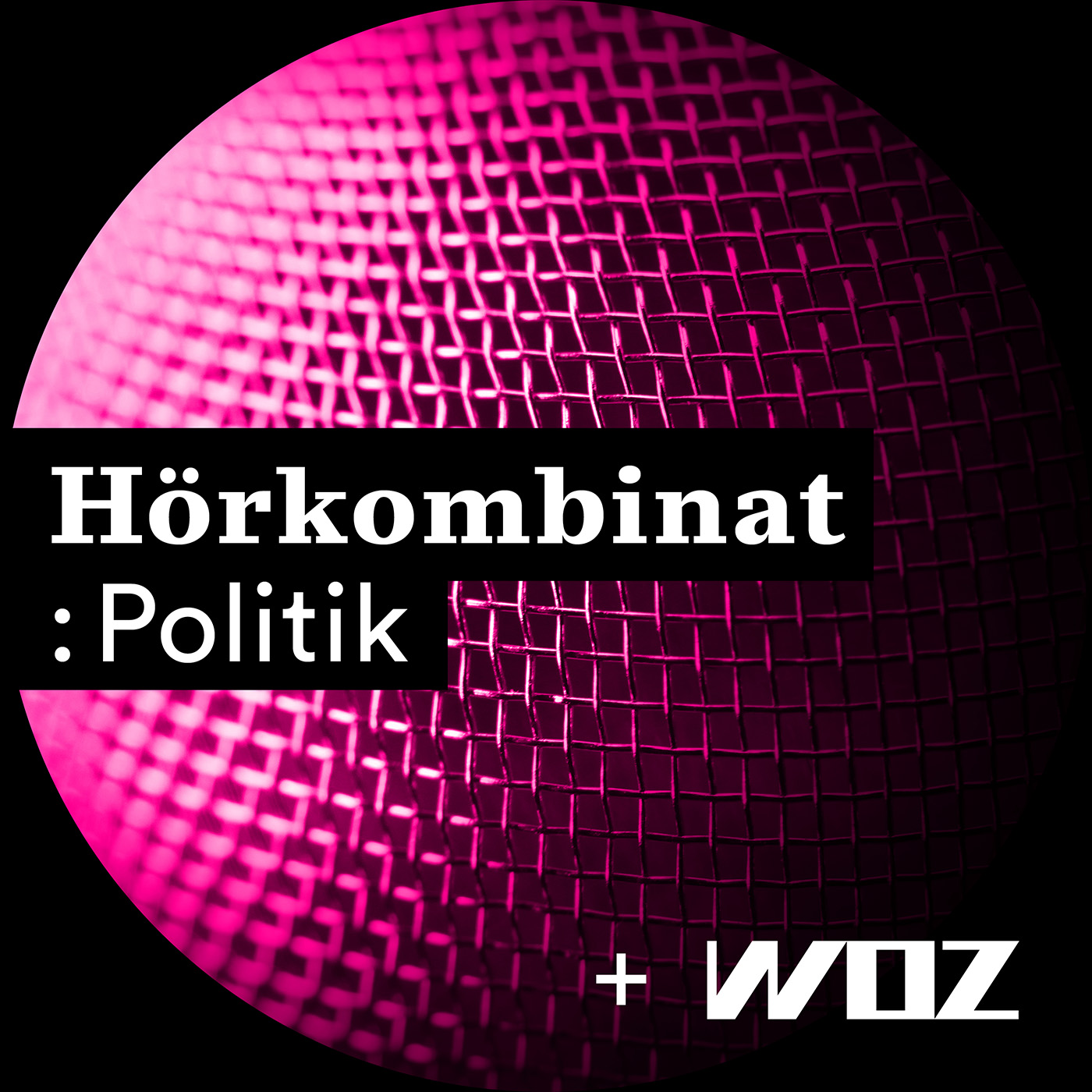 Hörkombinat :Politik