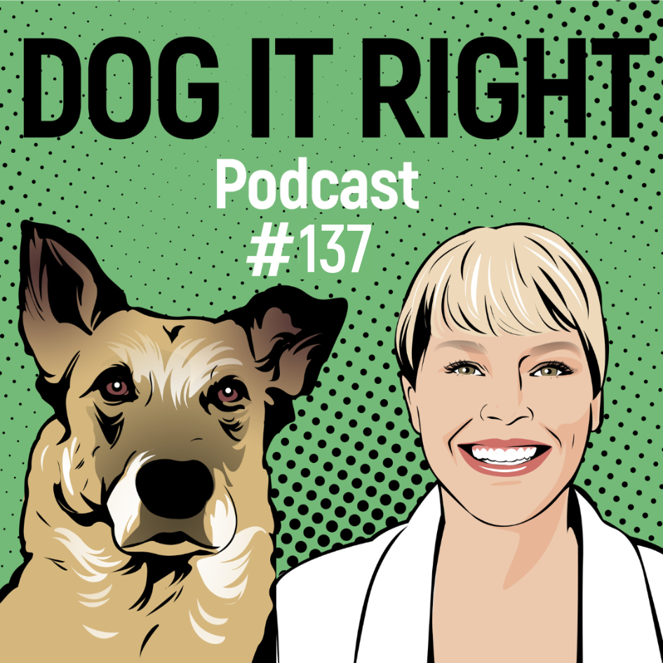 #137: Warum gut gemeinte Tipps bei Hundebegegnungen oft nichts bringen