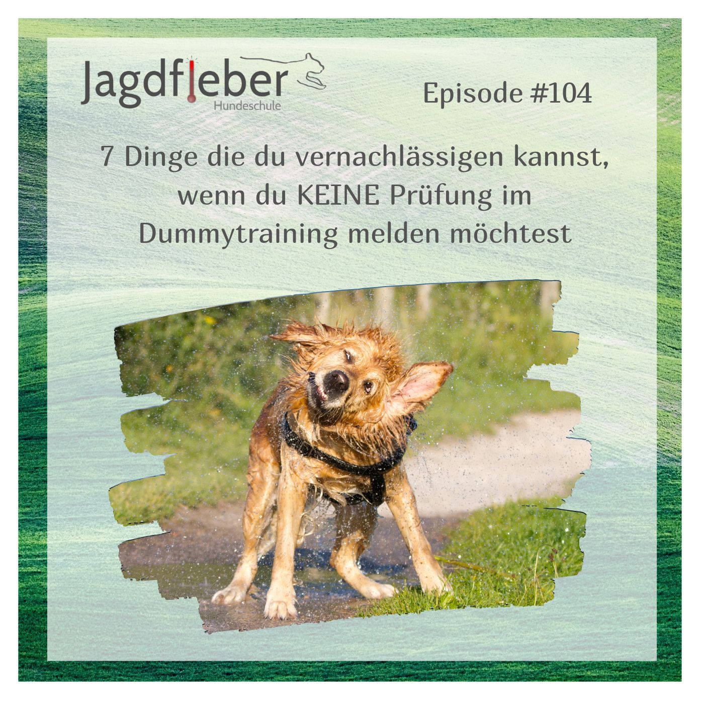 P104: 7 Dinge die du vernachlässigen kannst, wenn du KEINE Prüfung im Dummytraining melden möchtest episode artwork