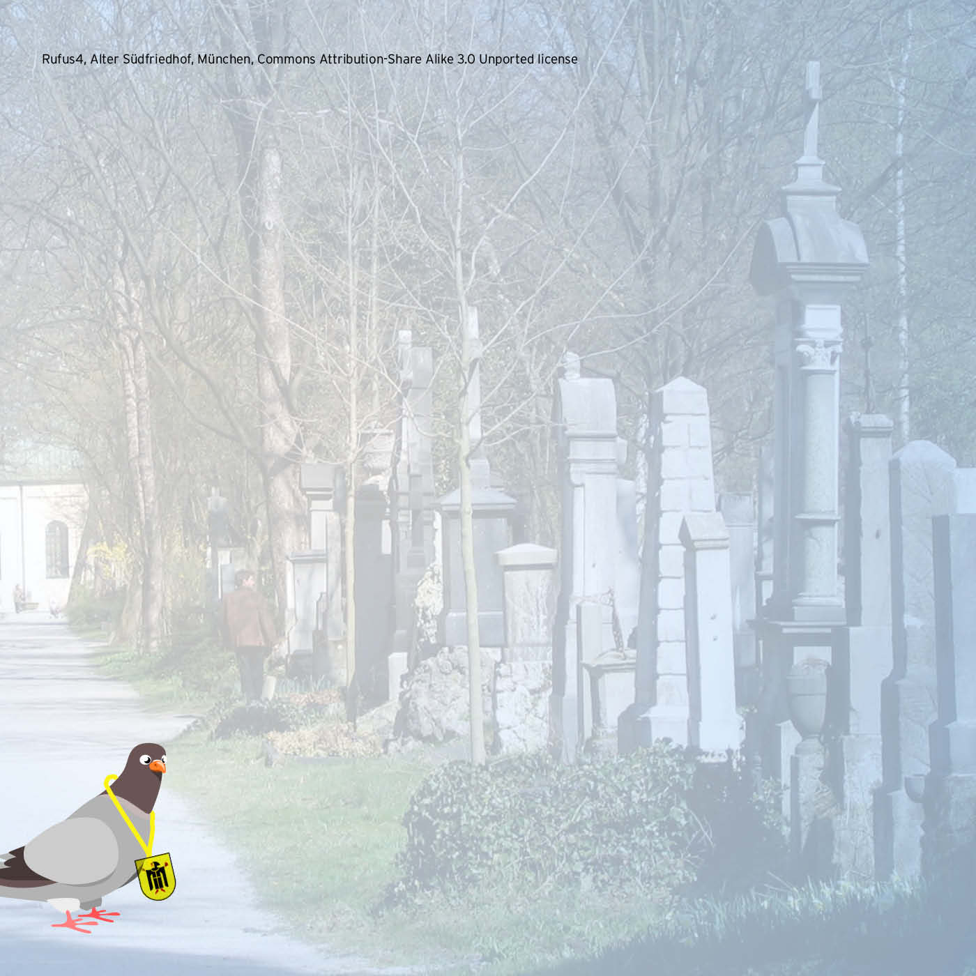 Luftreporterin Mali entdeckt den Alten Südfriedhof Luftreporterin Mali entdeckt den Alten Südfriedhof