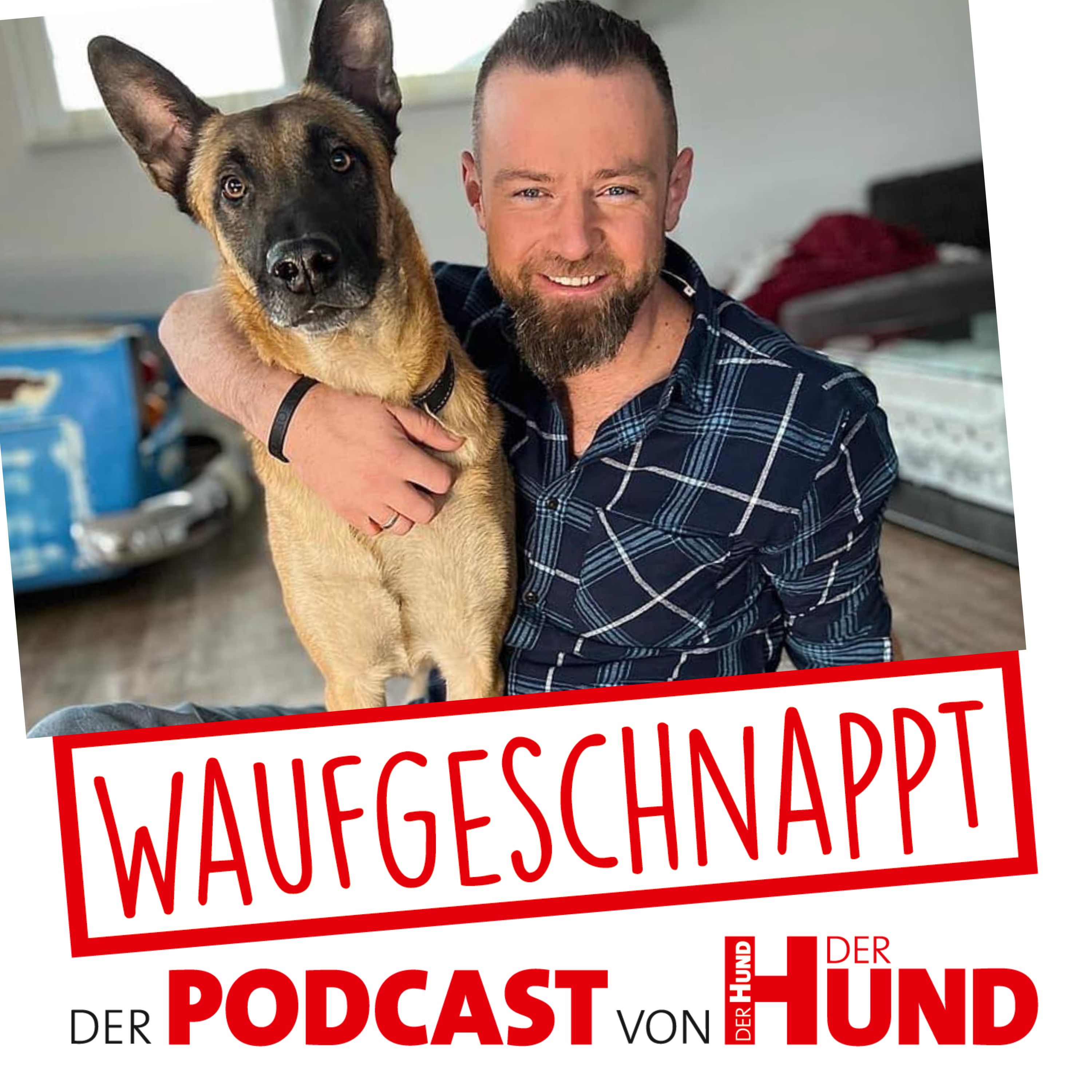 Waufgeschnappt - der Podcast von DER HUND