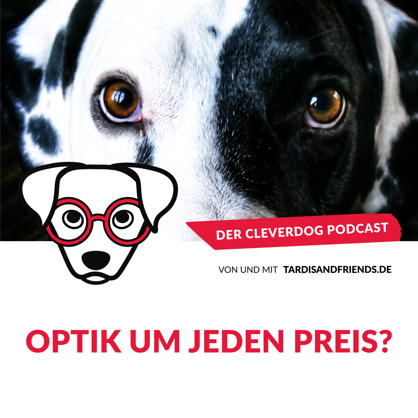 Der Cleverdog Podcast – mehr Wissen rund um den Hund!