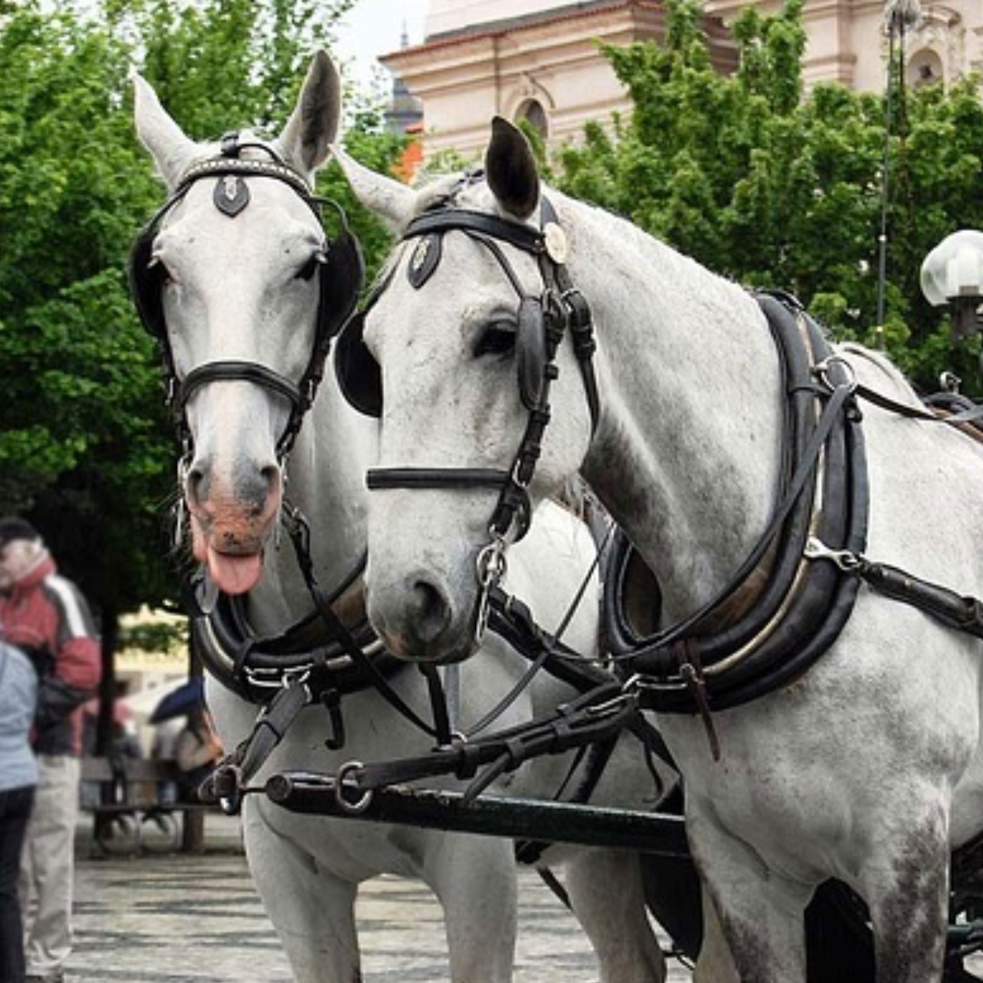 Weltaufgang - der Good News Podcast