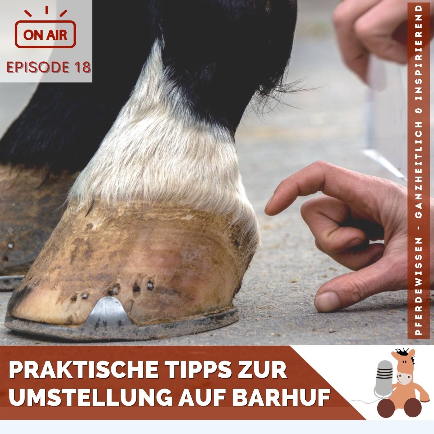 Pferdewissen - ganzheitlich & inspirierend mit Sandra Fencl