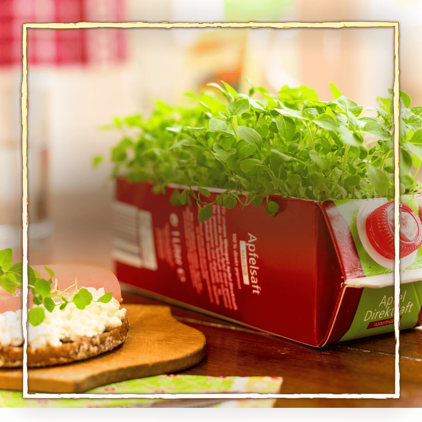 Microgreens - besser als Sprossen!