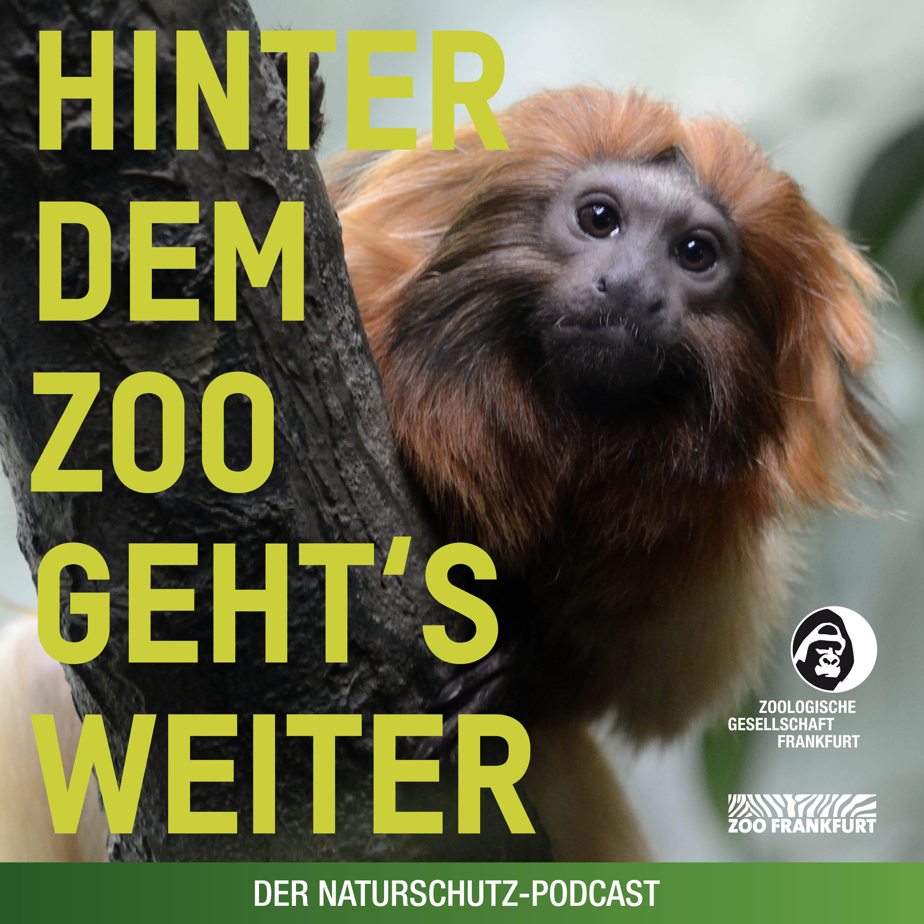 Hinter dem Zoo geht\'s weiter - Der Naturschutzpodcast aus Frankfurt