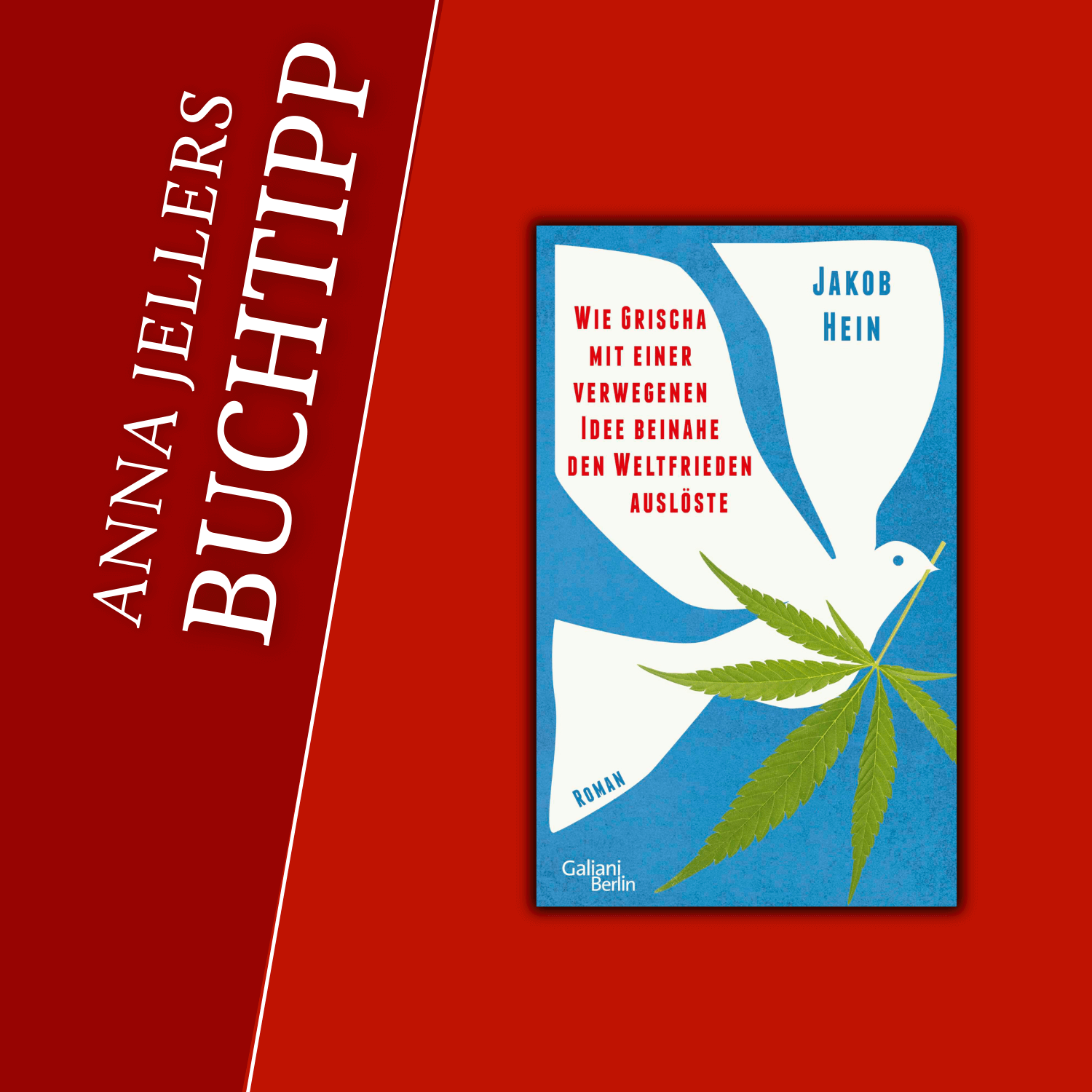 Anna Jeller & die Literatur