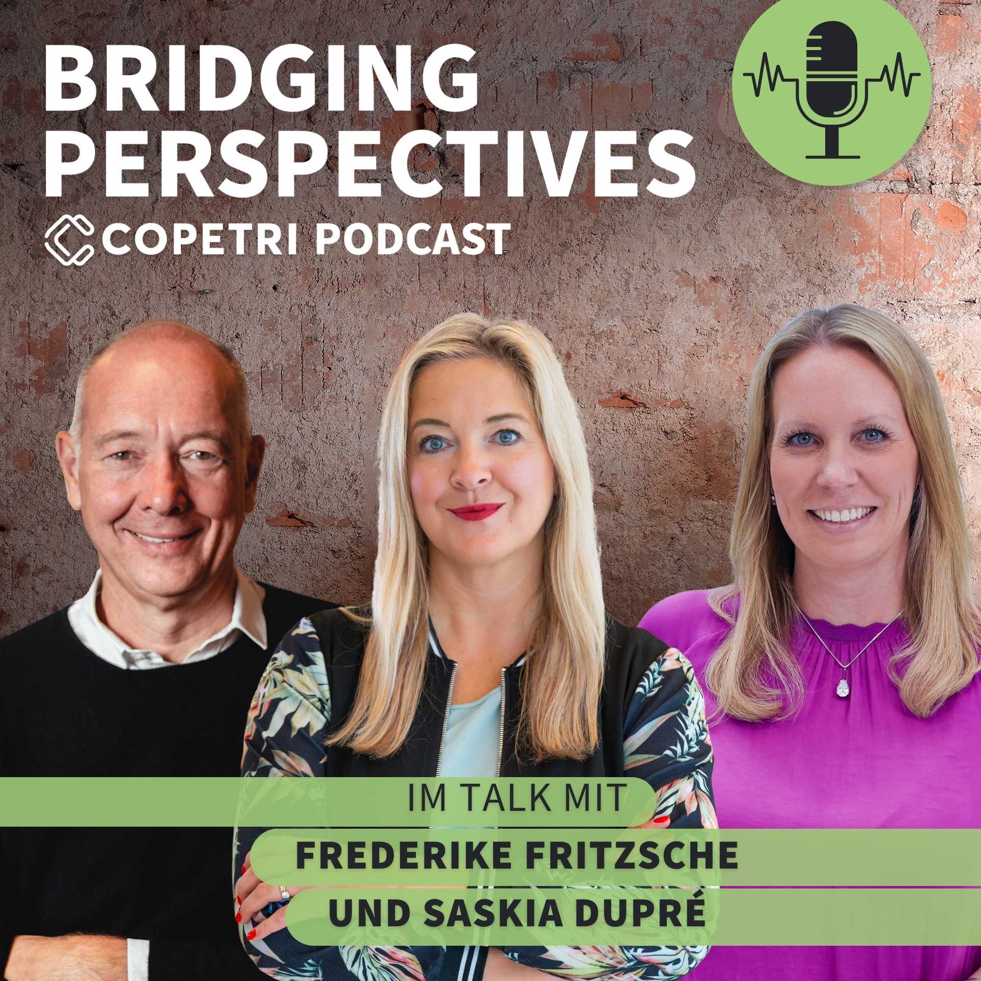 Bridging Perspectives - COPETRI Podcast
