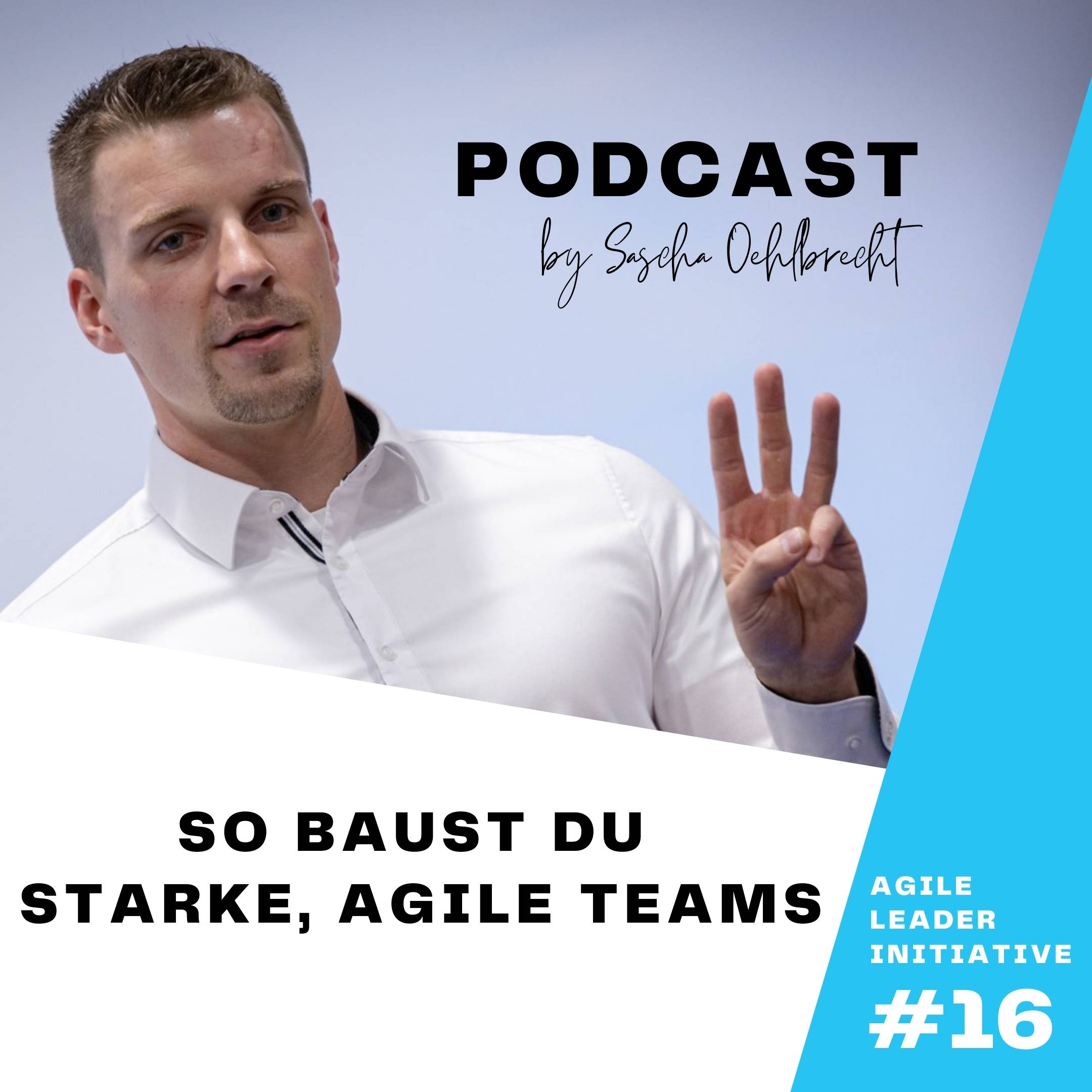 Agile Leader Initiative