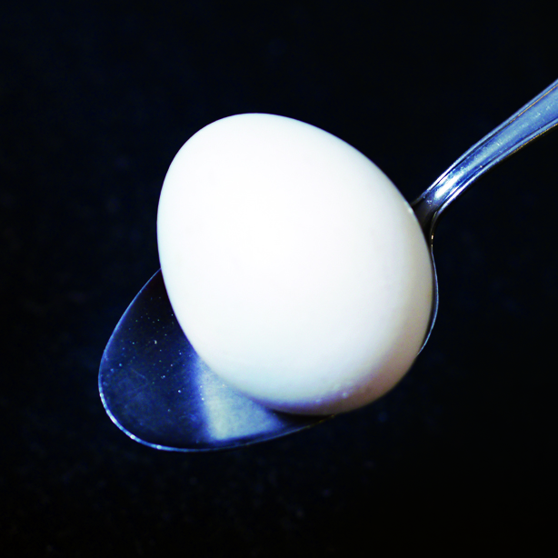 Mehr als Töne - Musikpädagogik und Gesellschaft