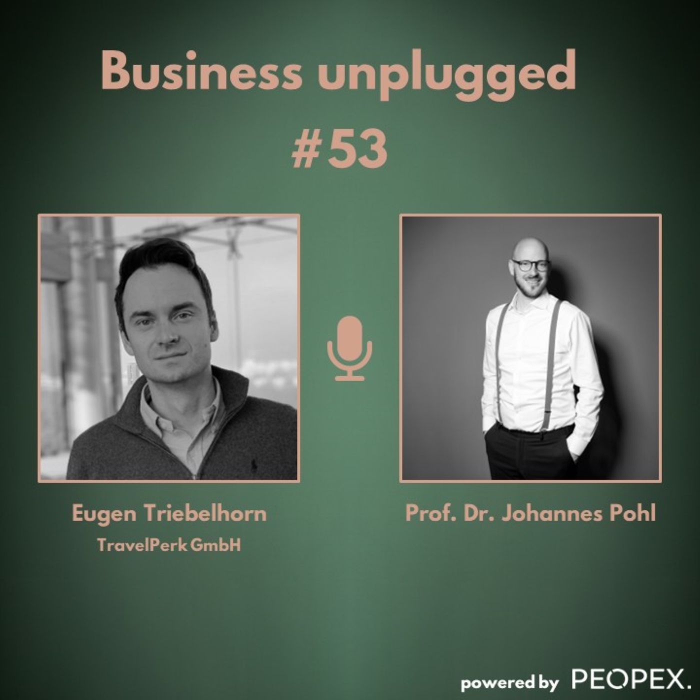 Business unplugged - Menschen, Unternehmen und Aspekte der Digitalisierung