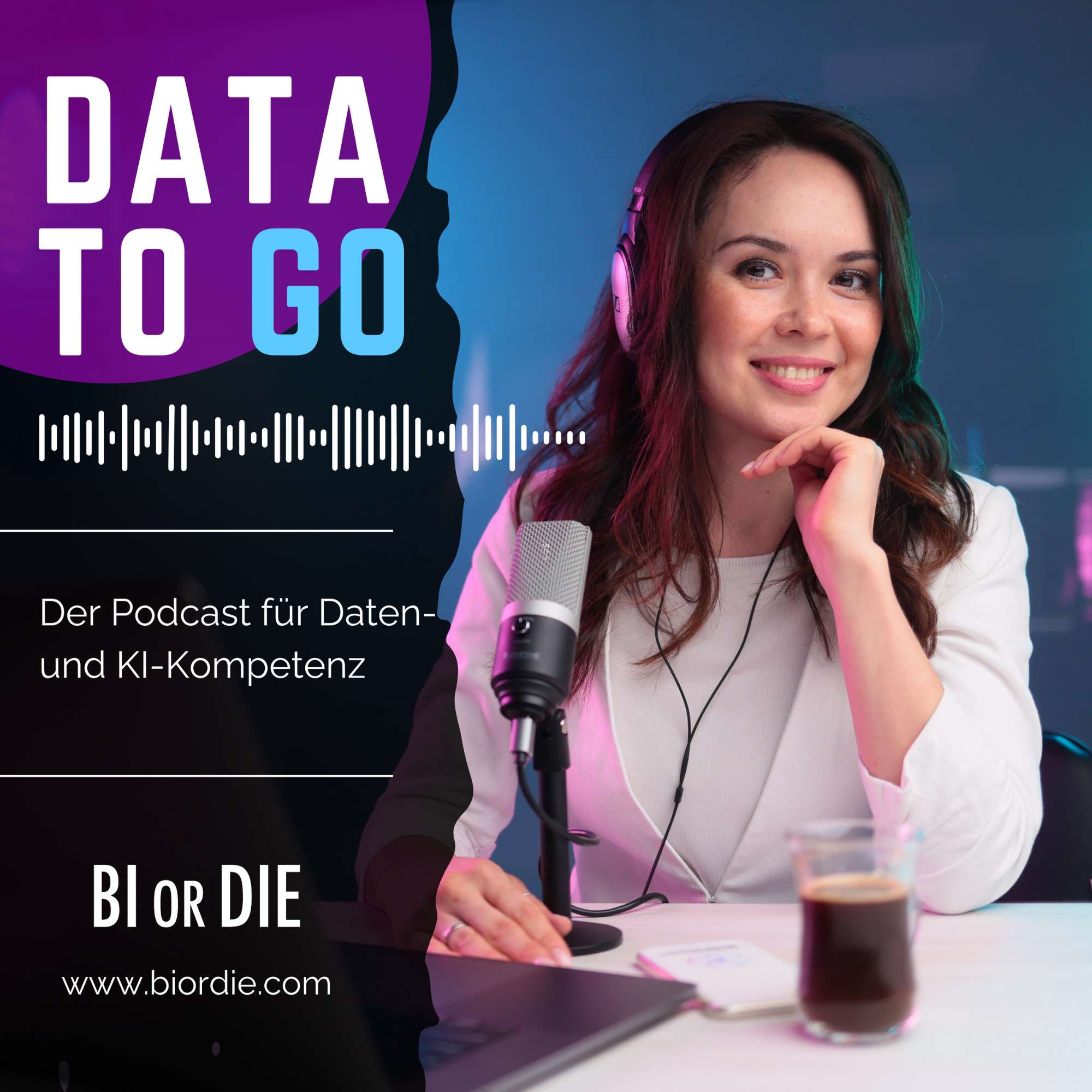 Data To Go podcast artwork