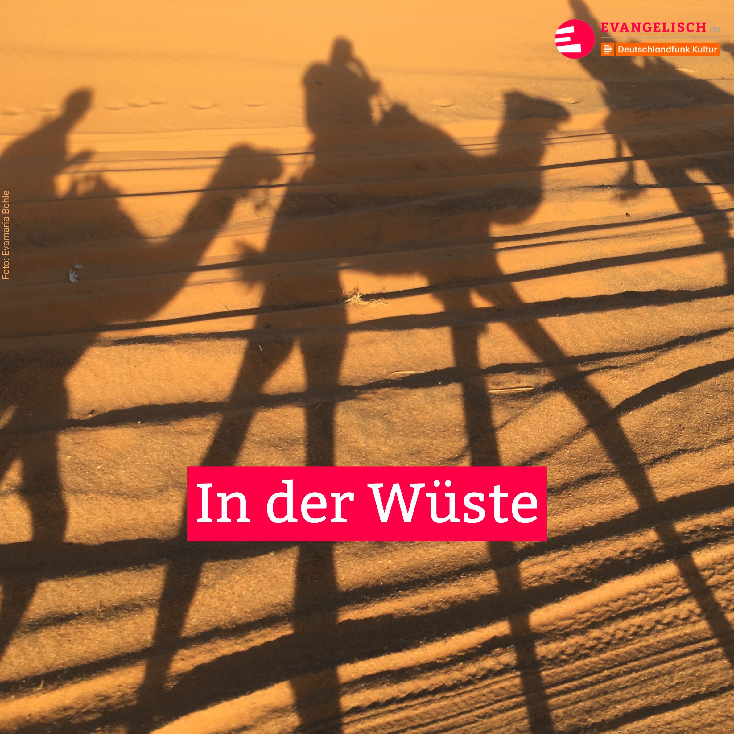 In der Wüste