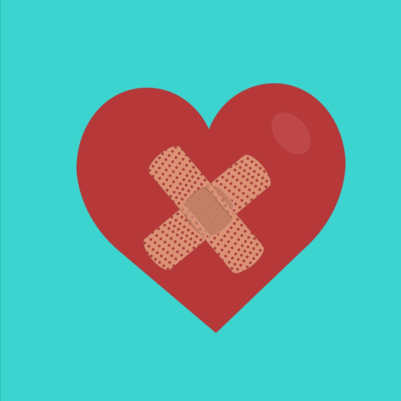 Pflaster fürs Herz | Trick gegen Tigermücken | Amerikas größtes Naturschutzgebiet  | Vermisstensuche unter Wasser