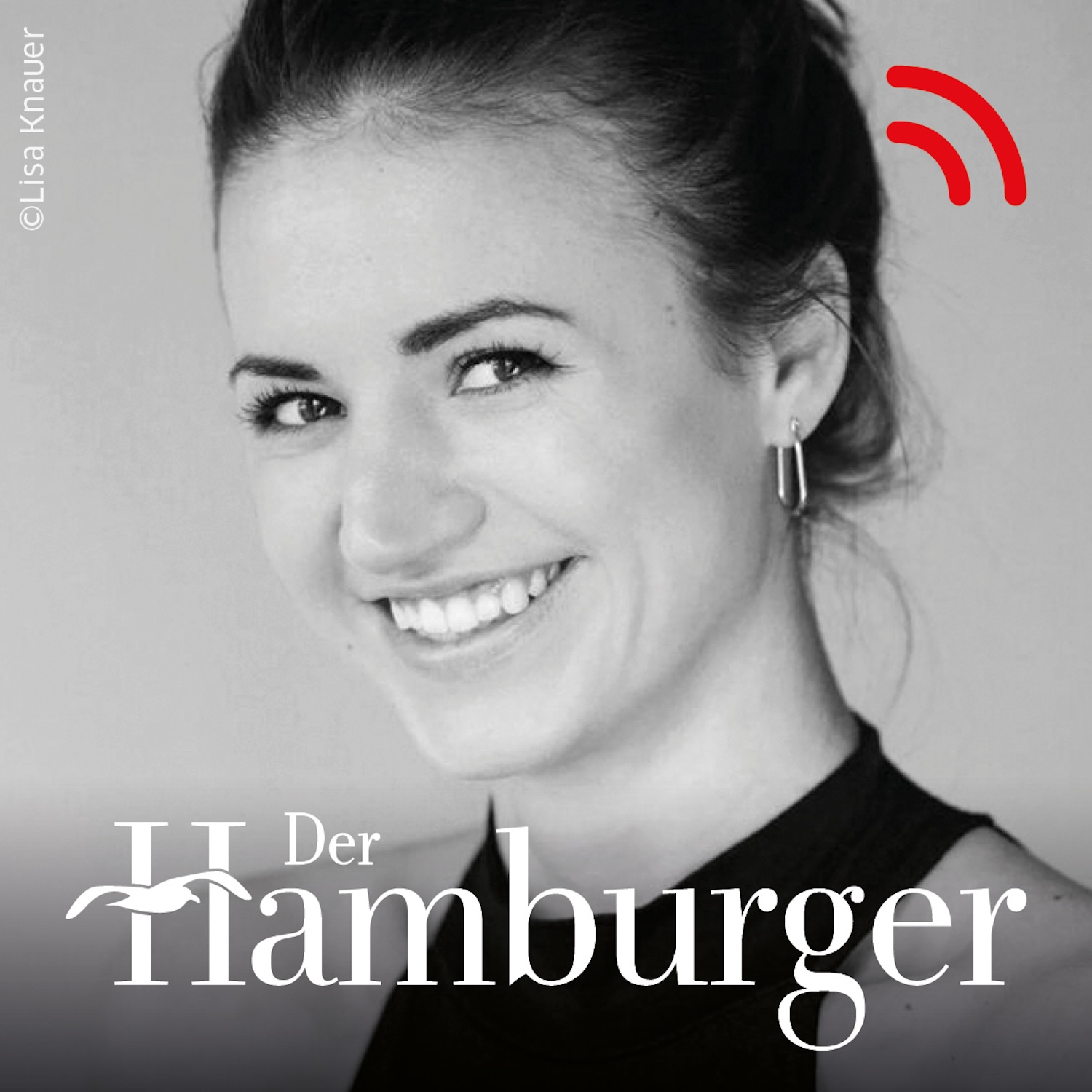 DER HAMBURGER Inside. Stimmen dieser Stadt