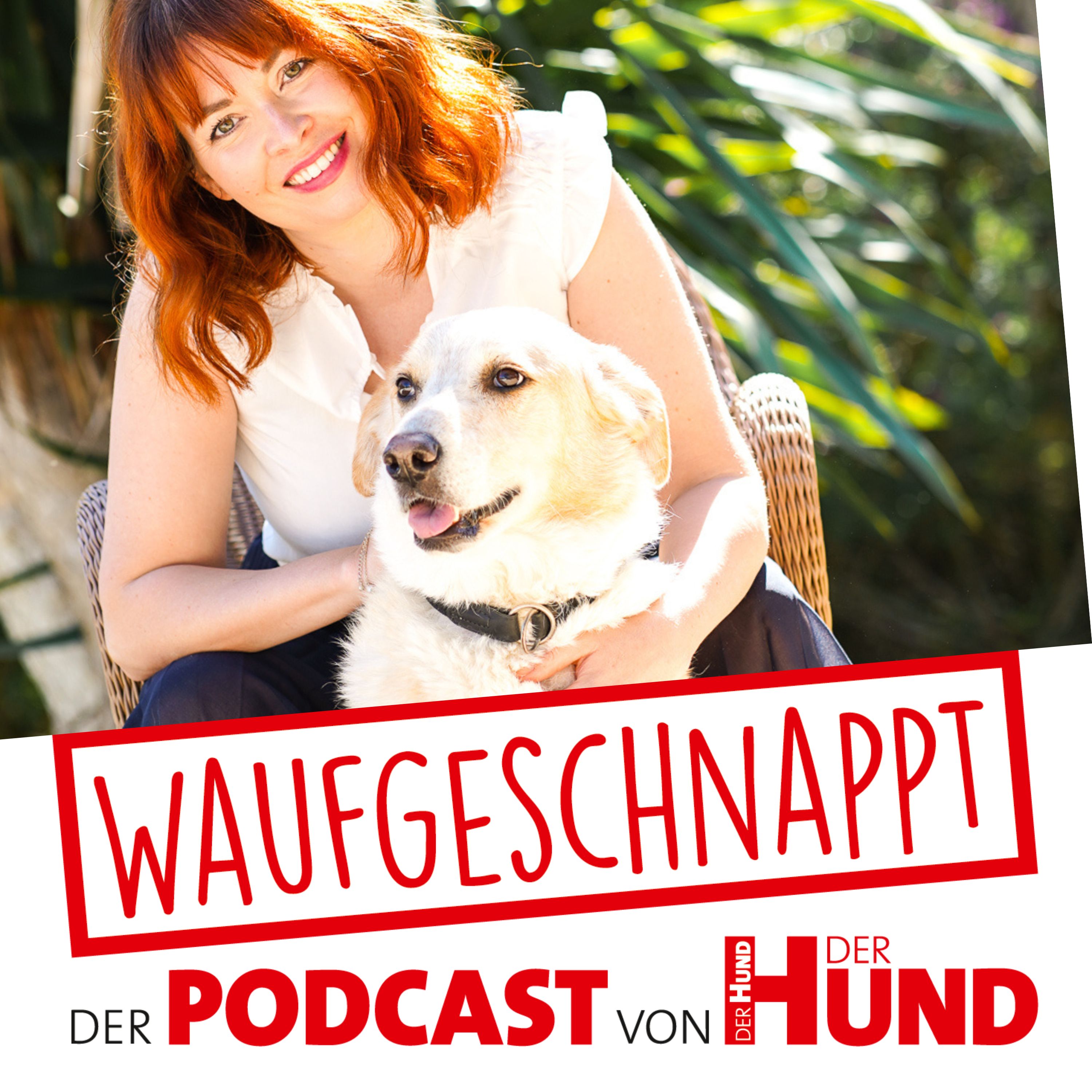 Waufgeschnappt - der Podcast von DER HUND