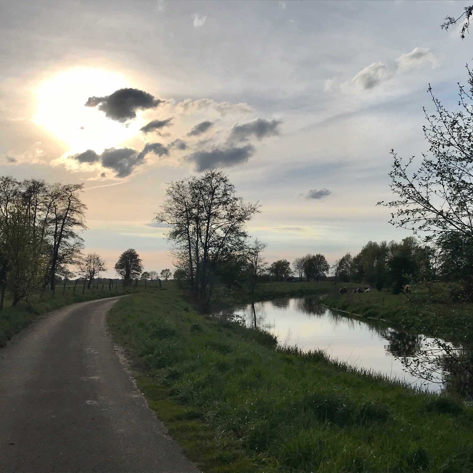 Zeitfensterglück
