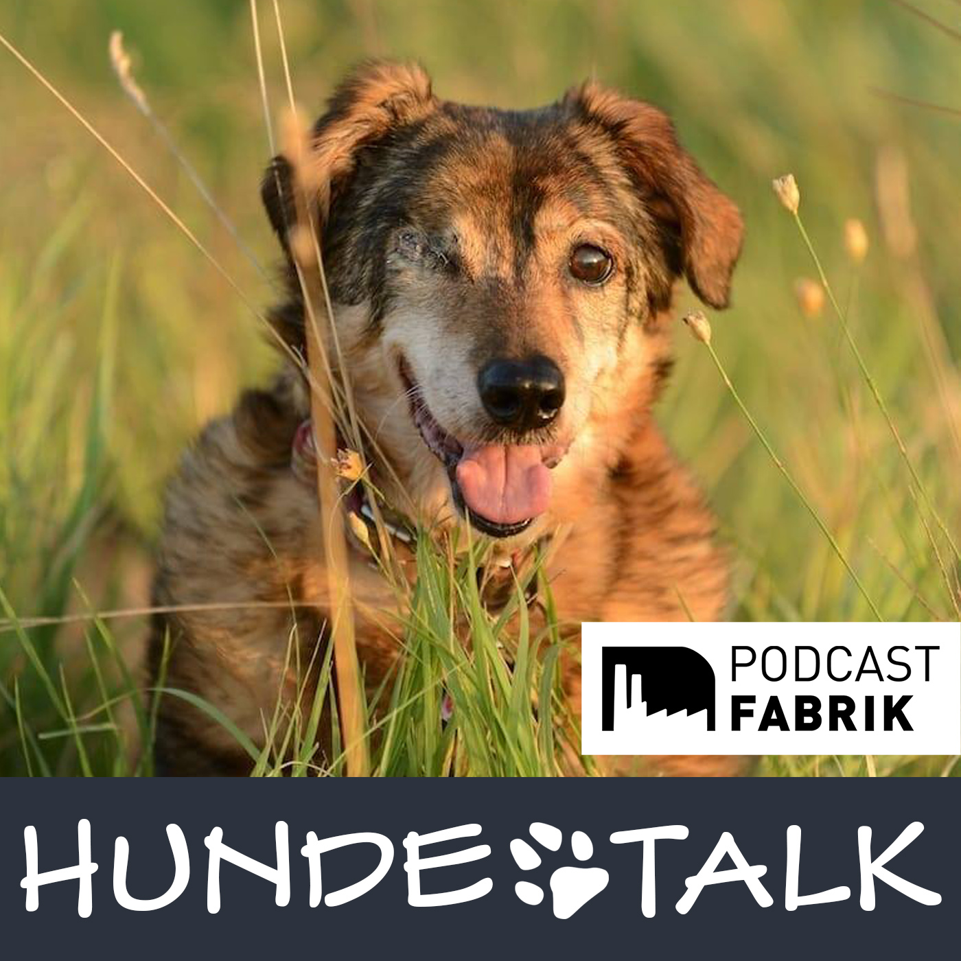 HUNDETALK - Dein Hunderunde-Podcast