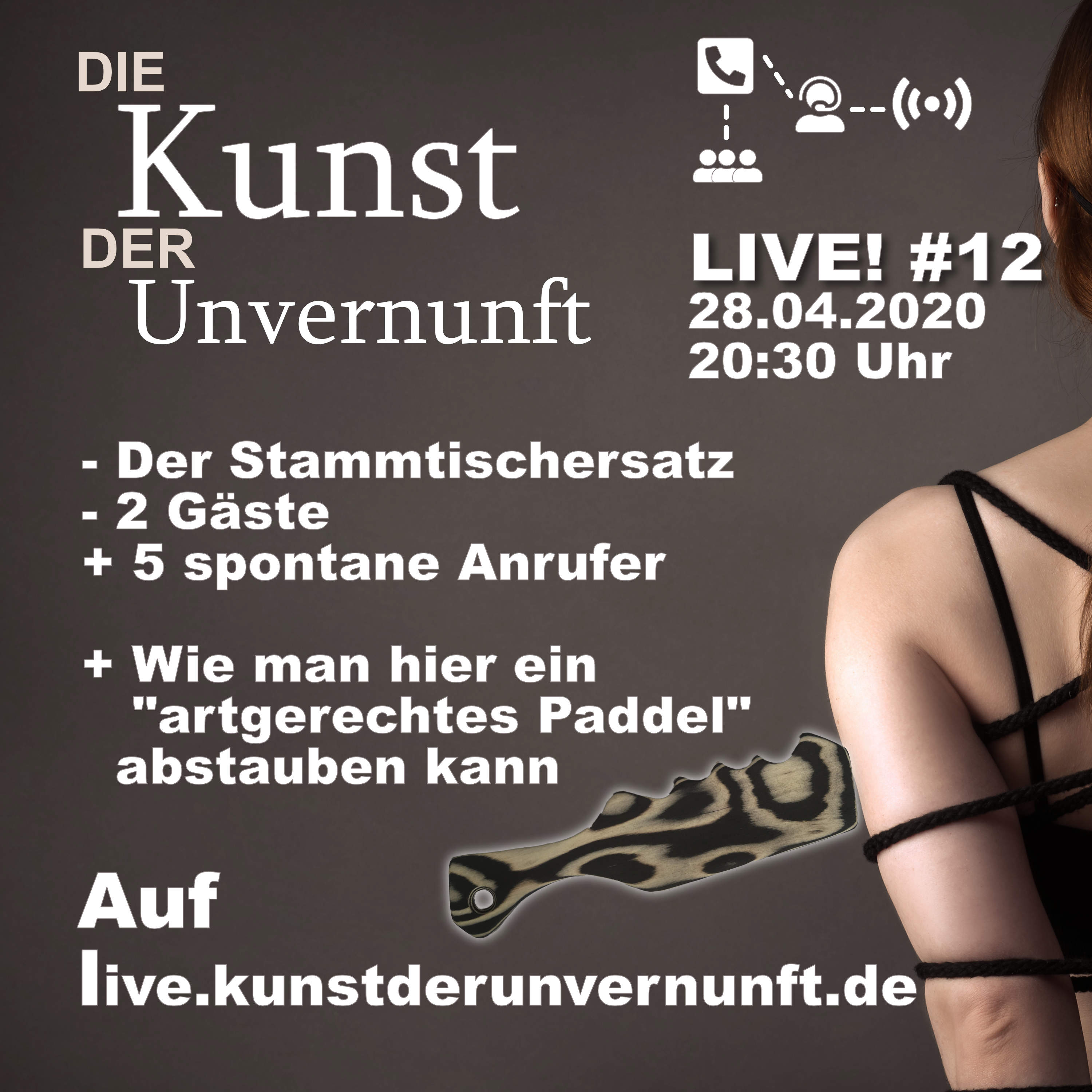 BDSM - Die Kunst der Unvernunft