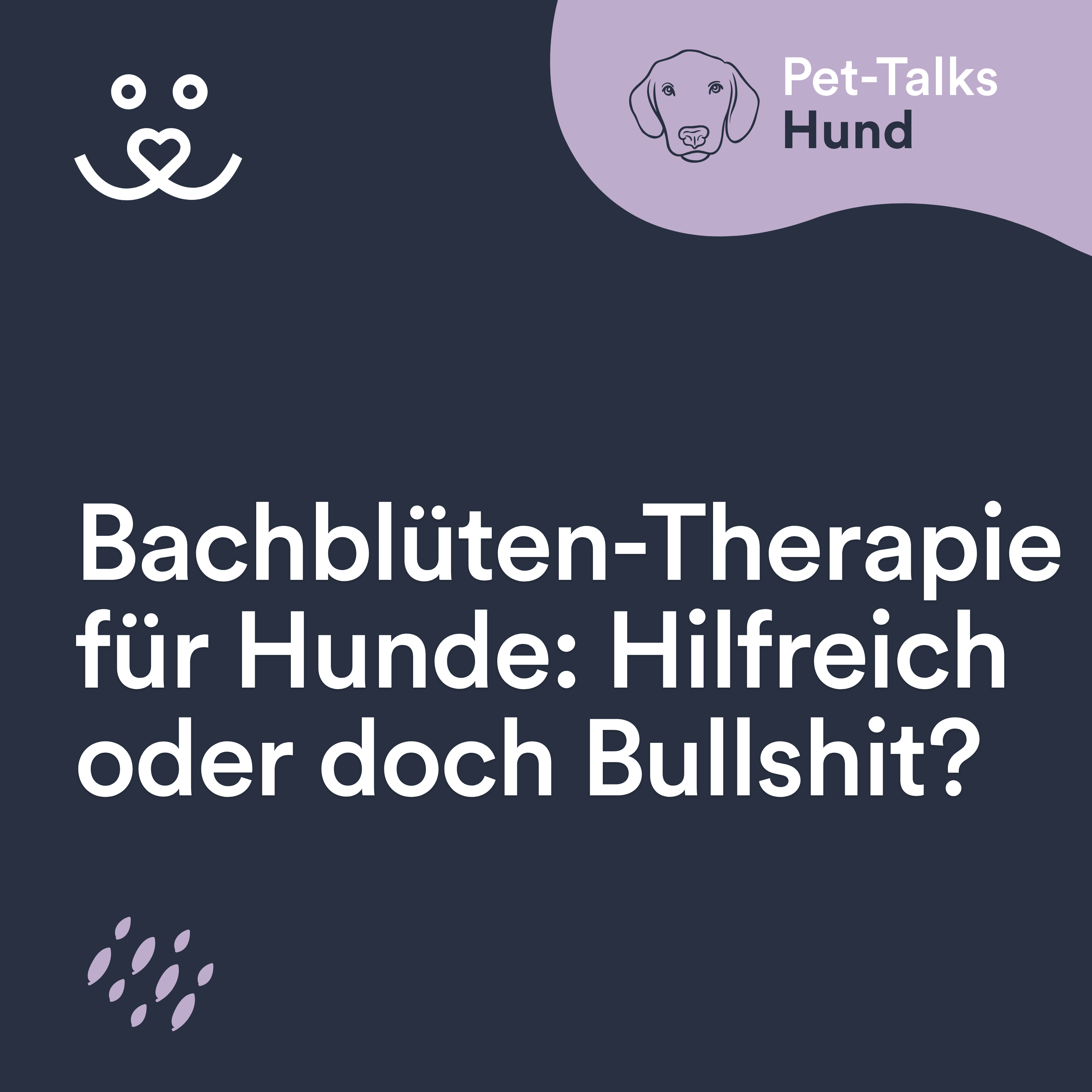 Pet-Talks: Hund – der Ratgeber-Podcast von DeineTierwelt
