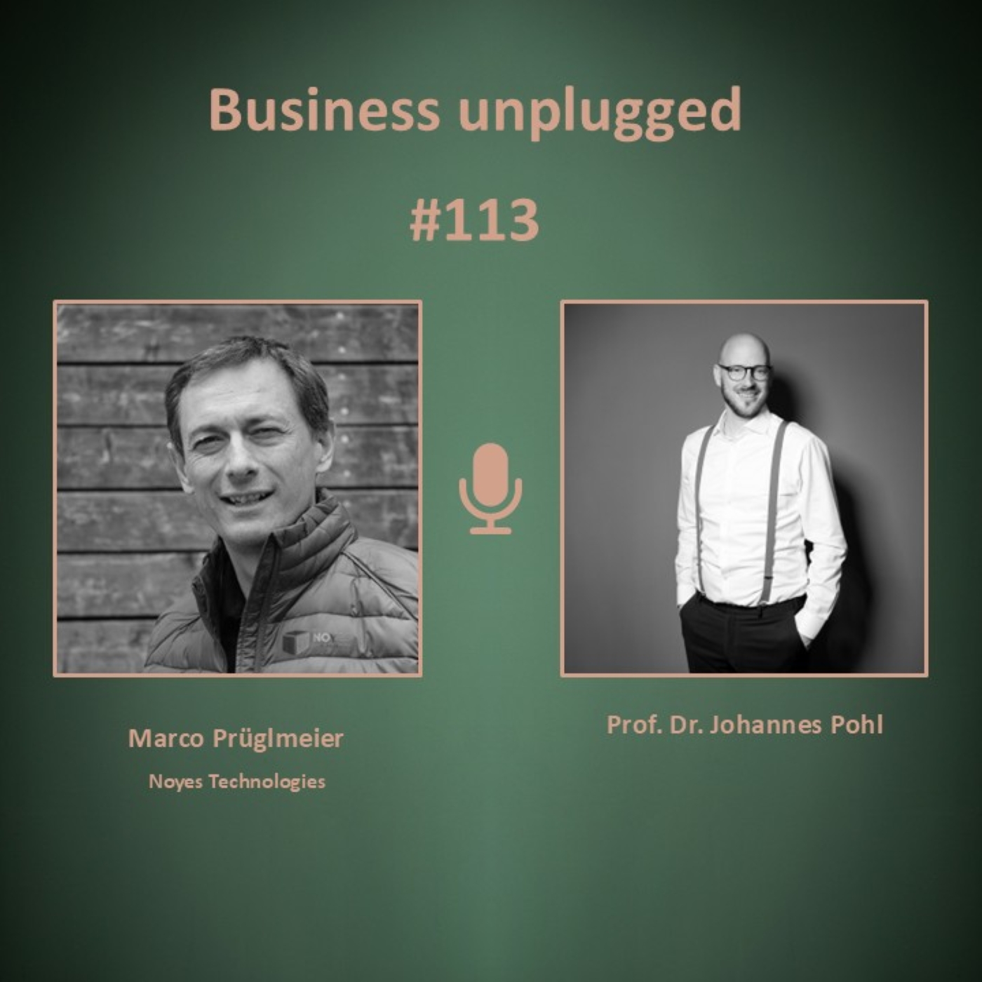 Business unplugged - Menschen, Unternehmen und Aspekte der Digitalisierung