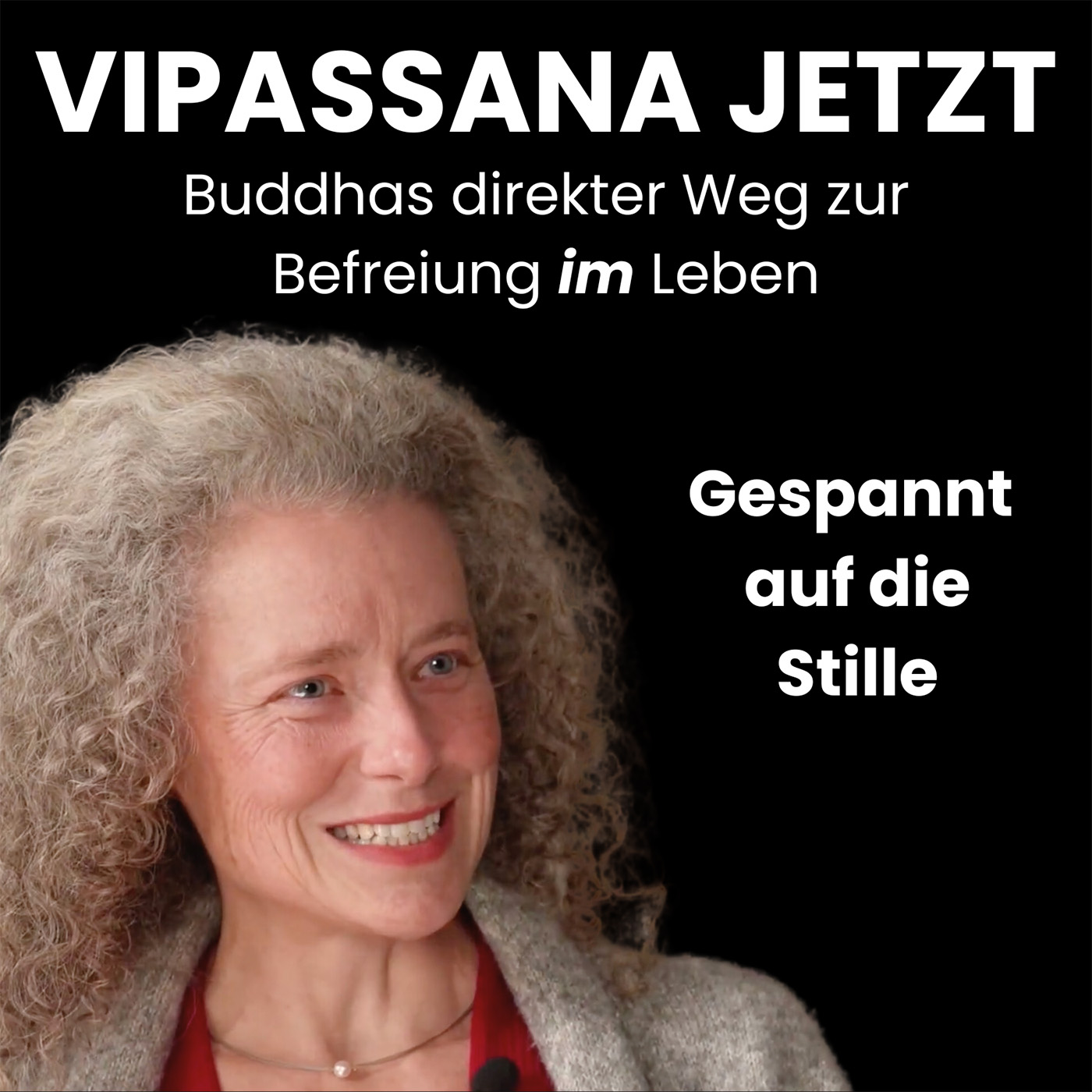 Vipassana Jetzt