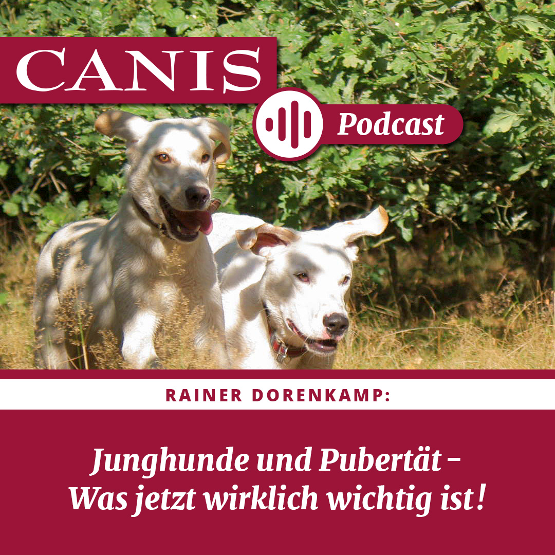 Der CANIS-Podcast – Hundeexpert:innen ausgefragt